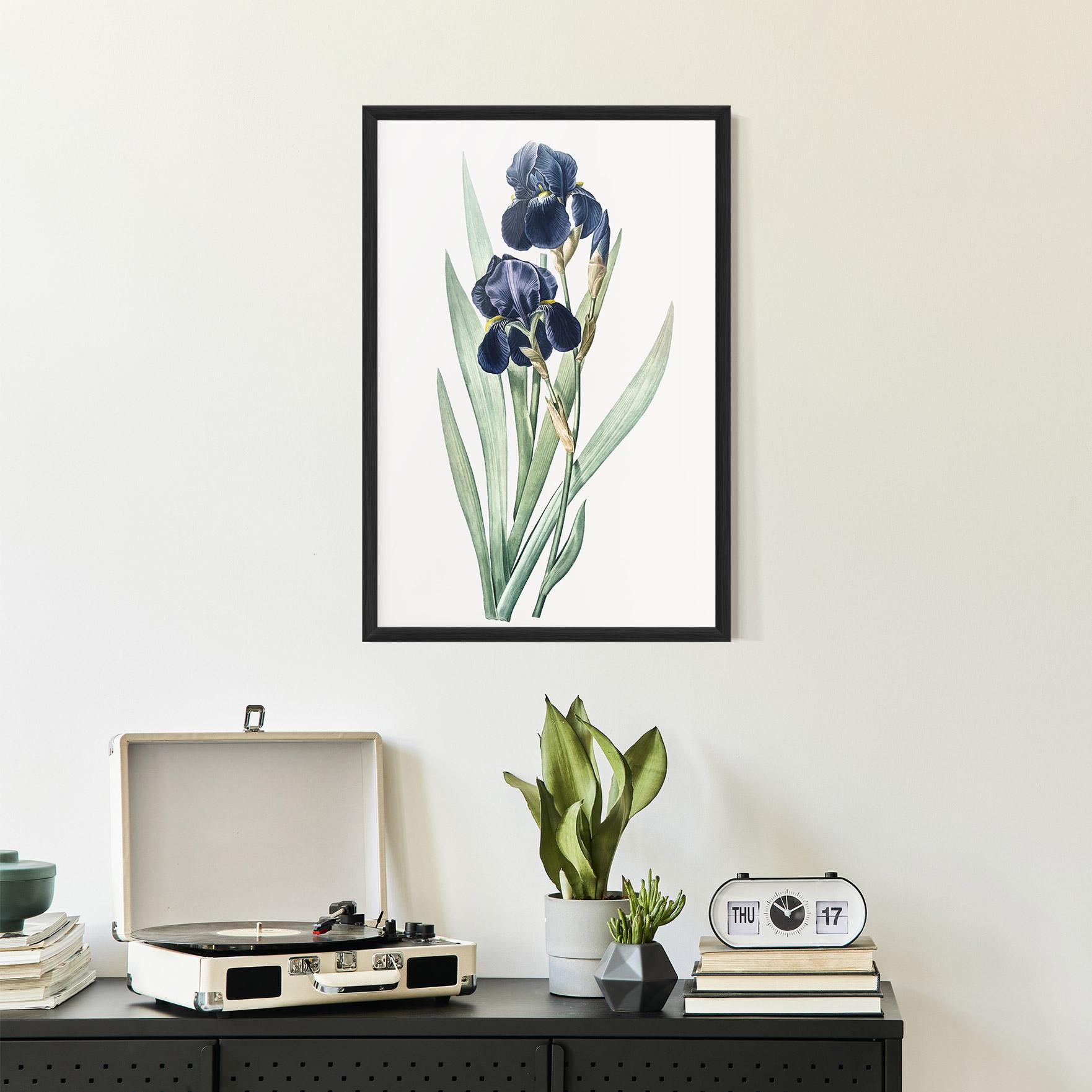 Gerahmte Poster Dark Blue Iris mockup 2