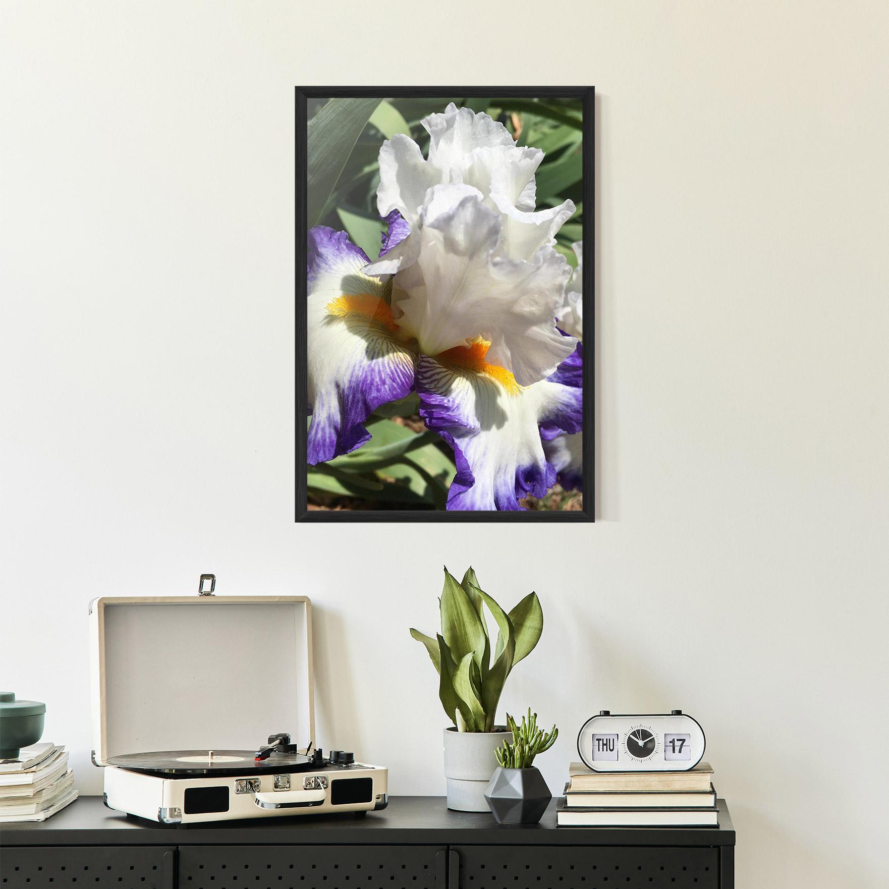 Gerahmte Poster Garden White Purple Irirs mockup 2