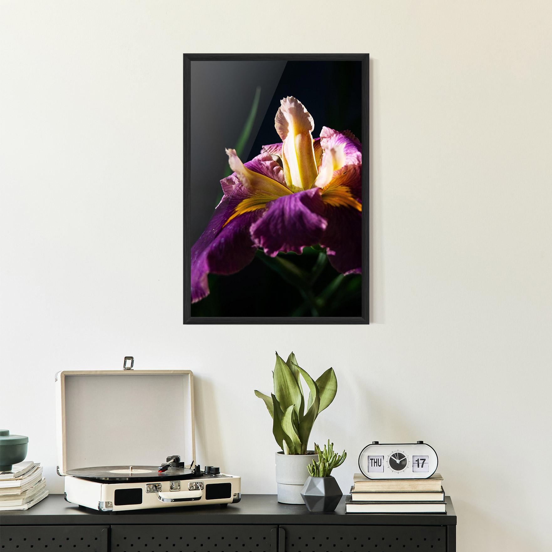 Gerahmte Poster Pastel Yellow Iris mockup 2