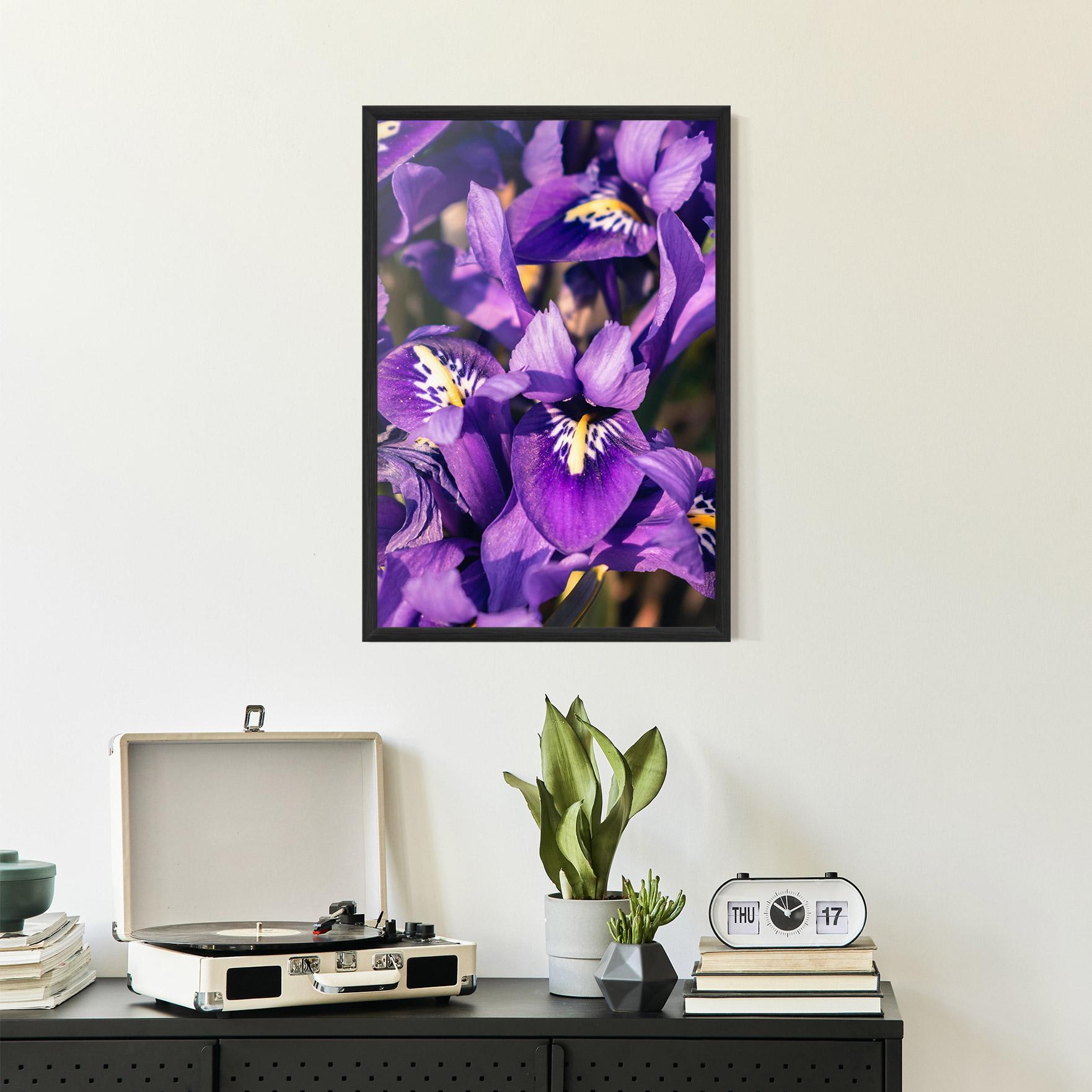 Gerahmte Poster Small Purple Iris mockup 2