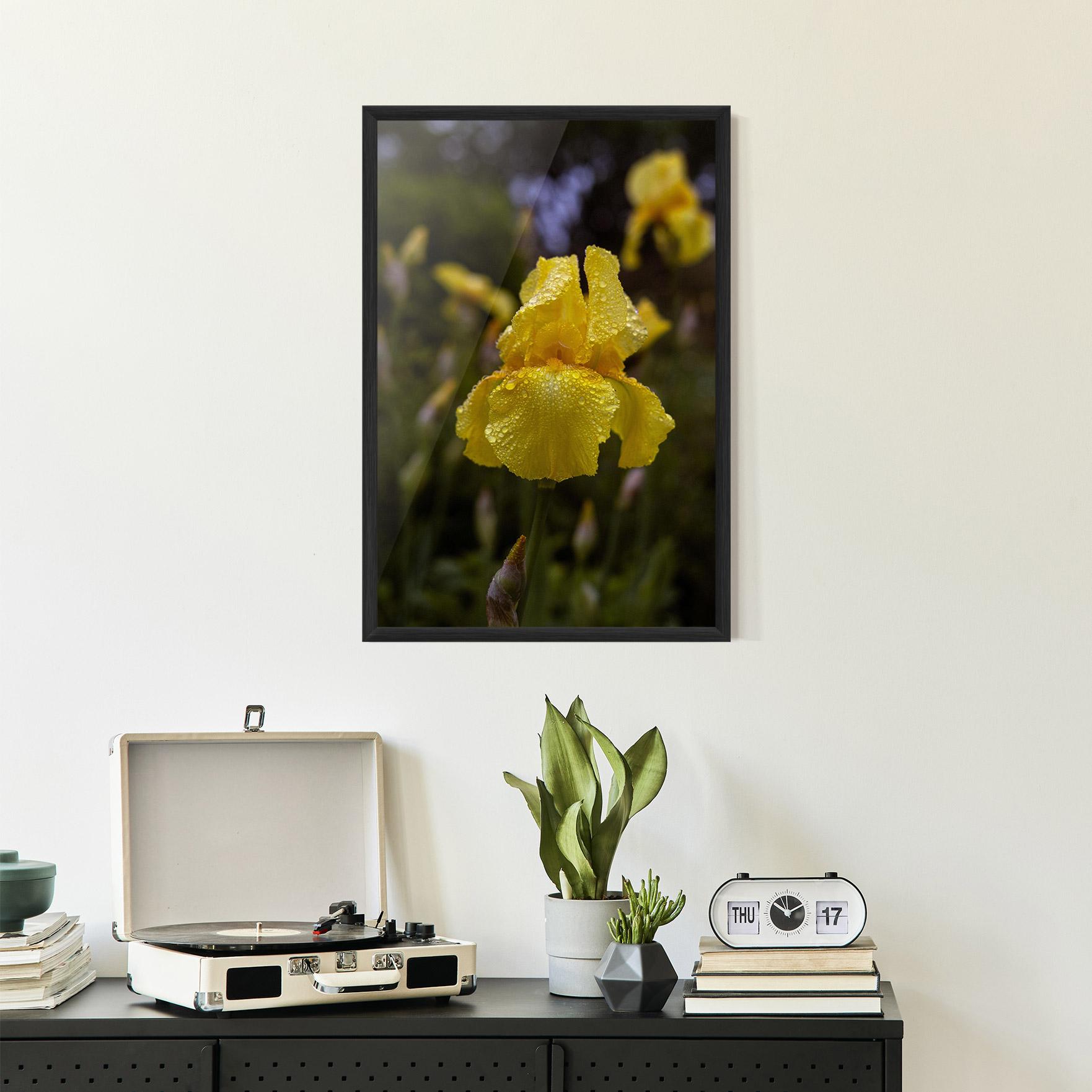 Gerahmte Poster Yellow Iris After Rain mockup 2