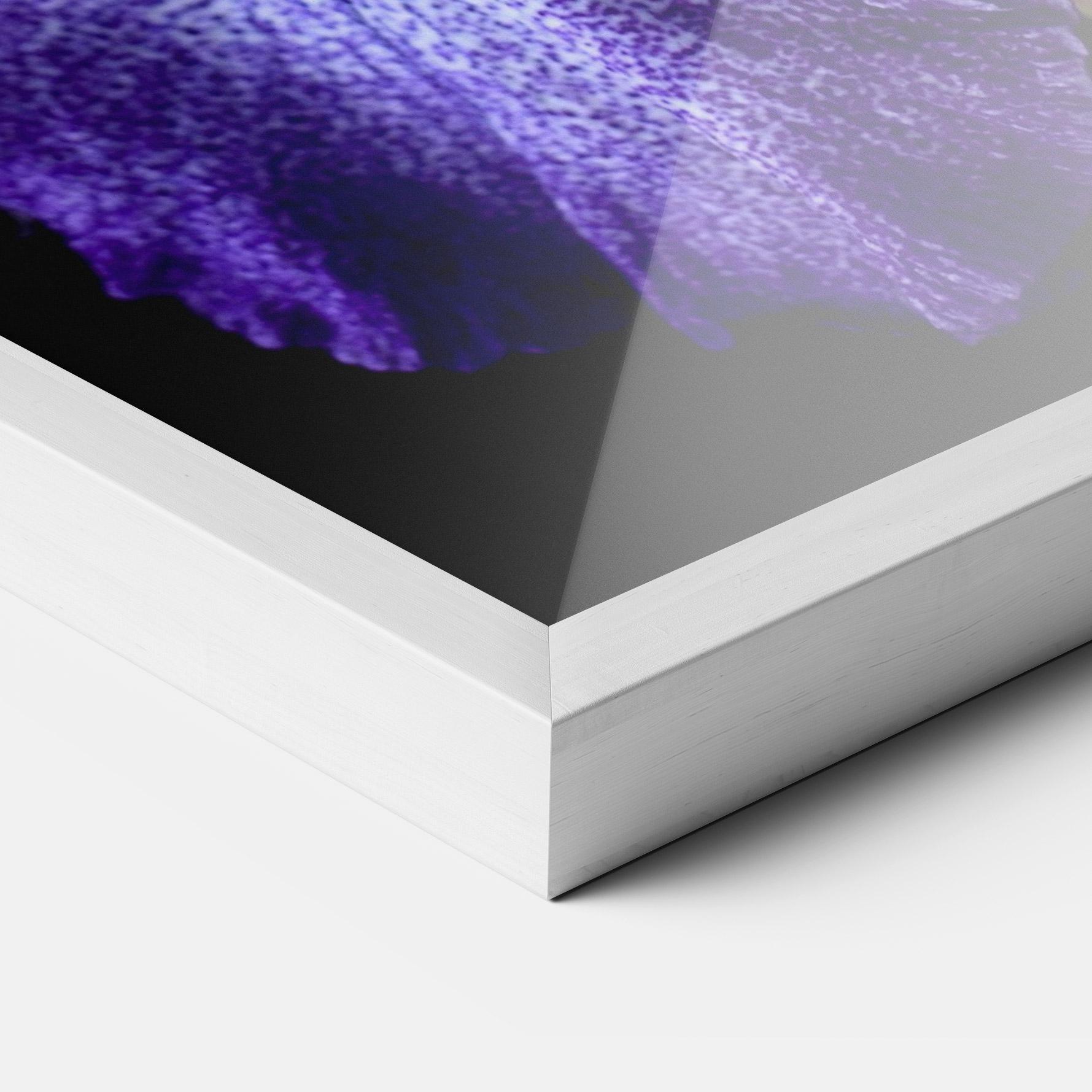 Gerahmte Poster Dark Purple Iris On Black mockup 3