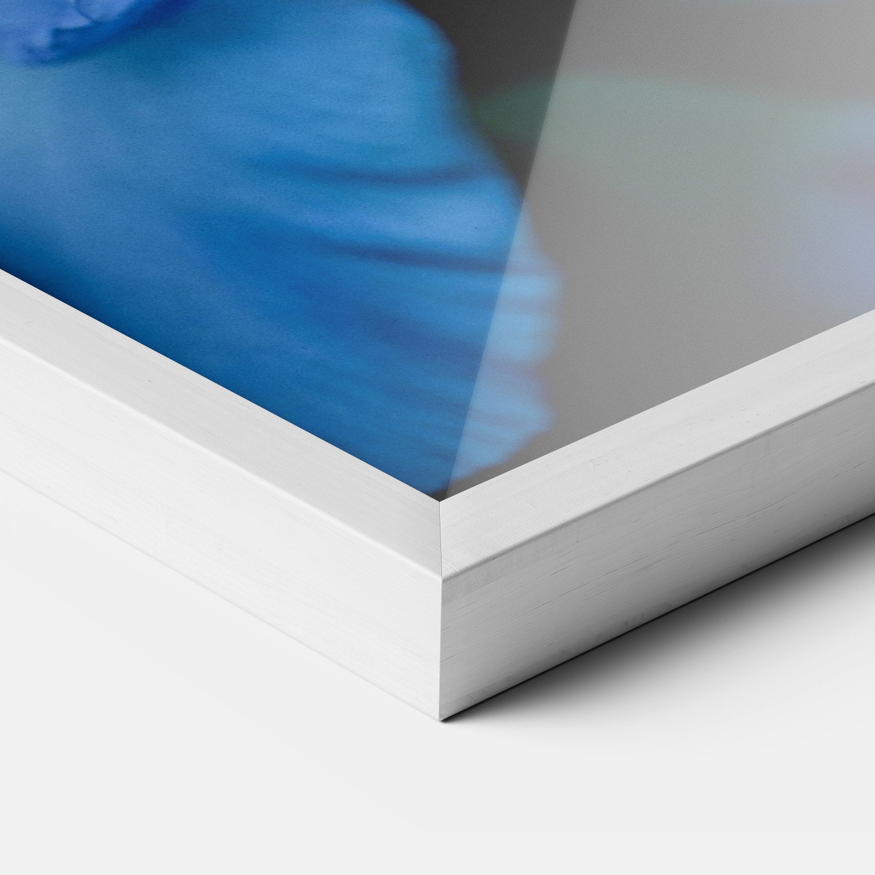 Ocean Blue Iris mockup 3