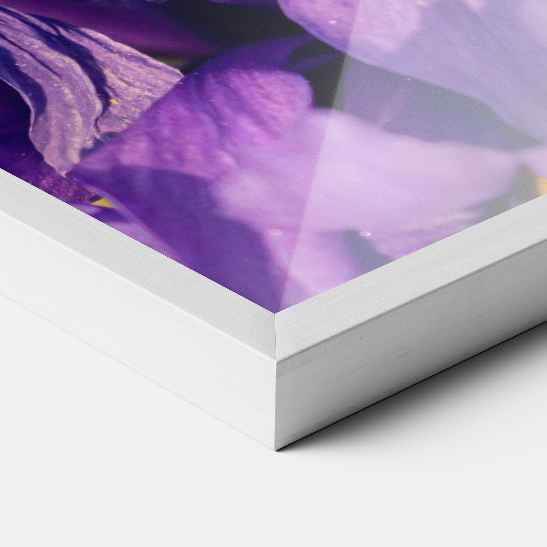 Small Purple Iris mockup 3