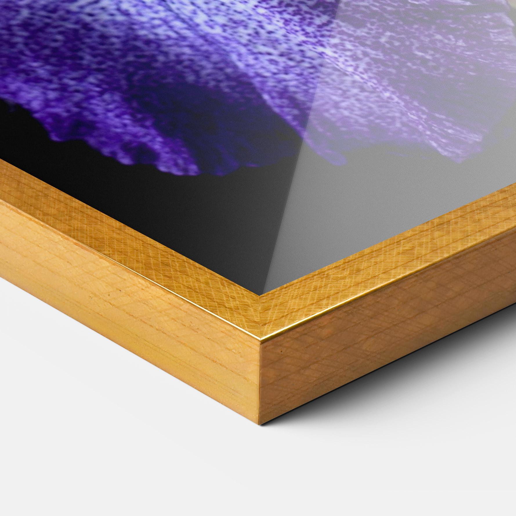 Gerahmte Poster Dark Purple Iris On Black mockup 3