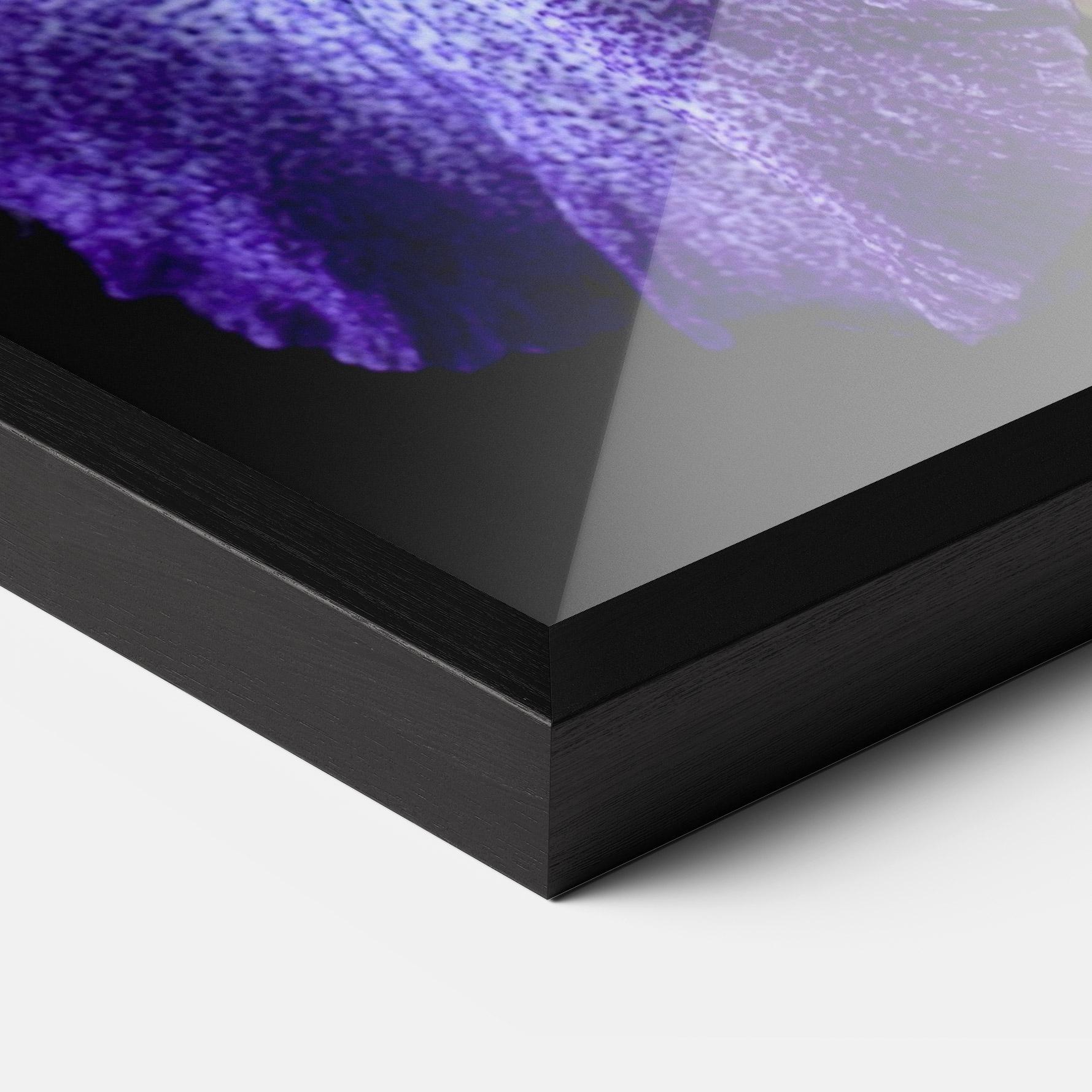 Gerahmte Poster Dark Purple Iris On Black mockup 3
