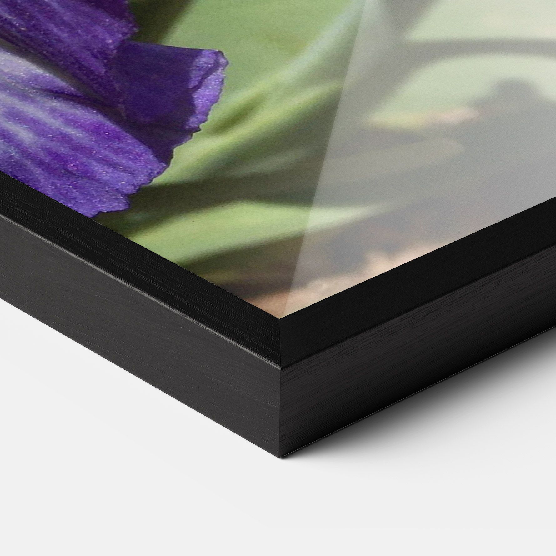 Garden White Purple Irirs mockup 3