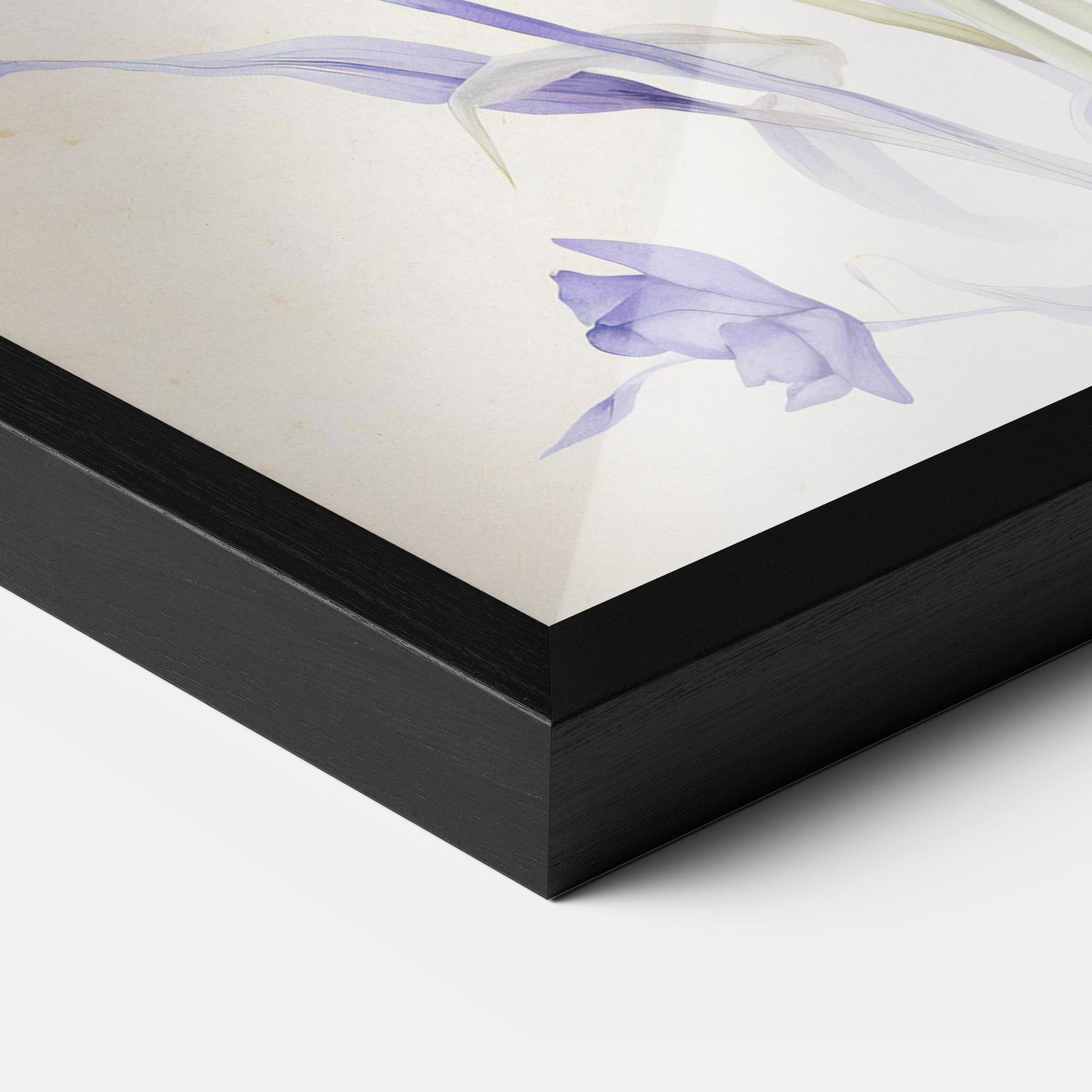 Gerahmte Poster Purple Iris On Cream mockup 3