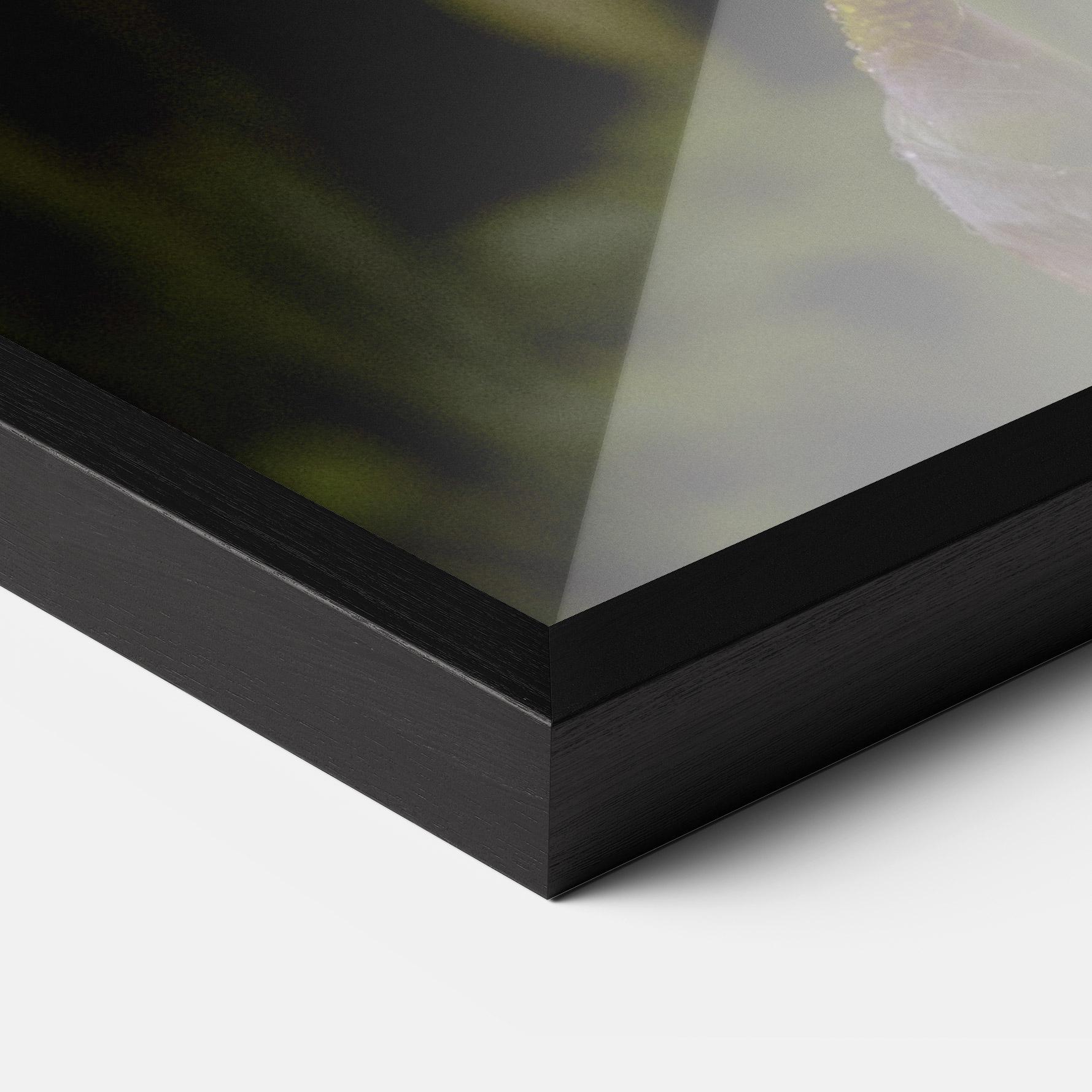 Gerahmte Poster Yellow Iris After Rain mockup 3