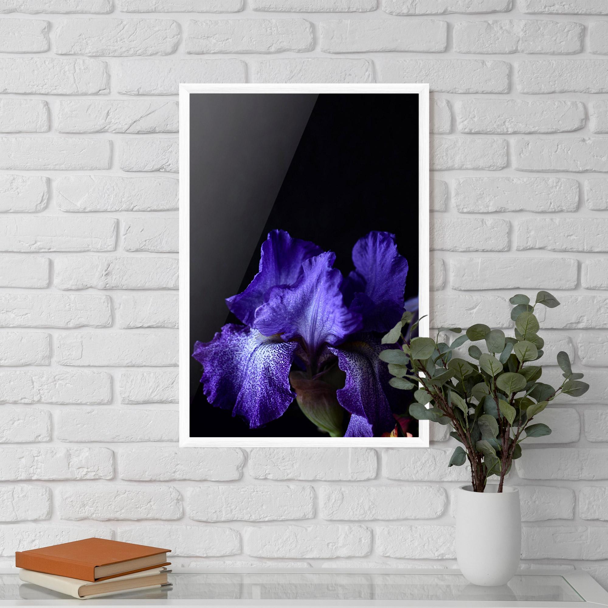 Gerahmte Poster Dark Purple Iris On Black mockup 5