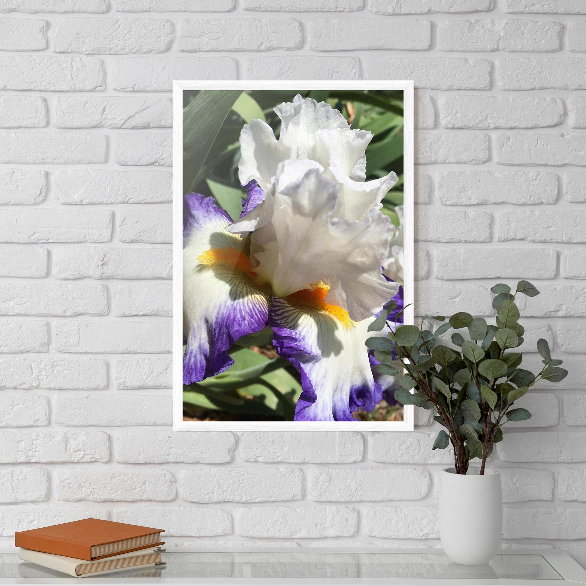 Gerahmte Poster Garden White Purple Irirs mockup 5