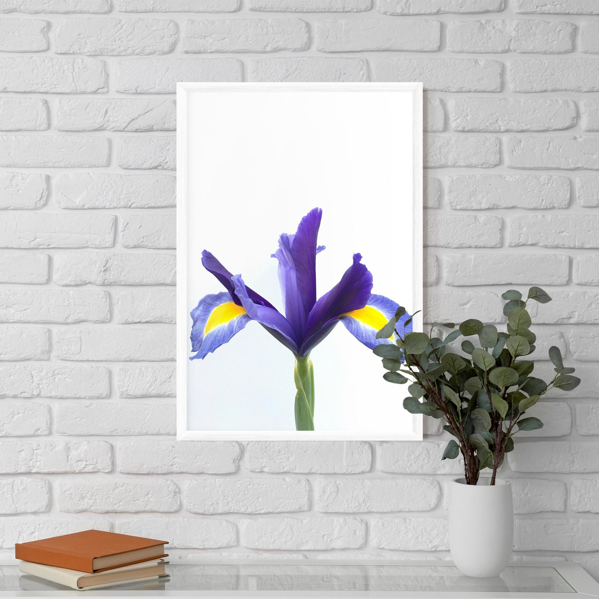 Gerahmte Poster Yellow Color Iris mockup 5