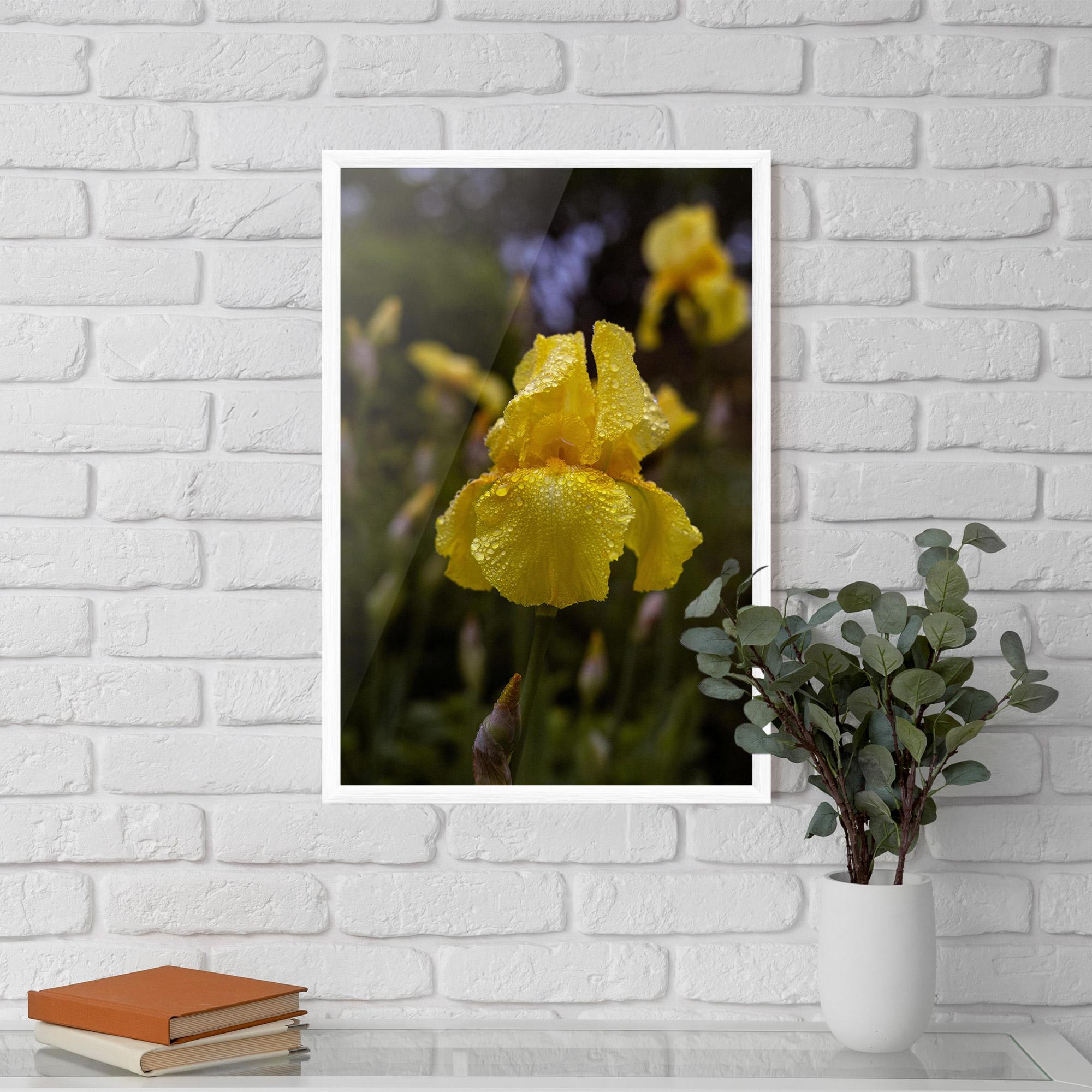 Gerahmte Poster Yellow Iris After Rain mockup 5