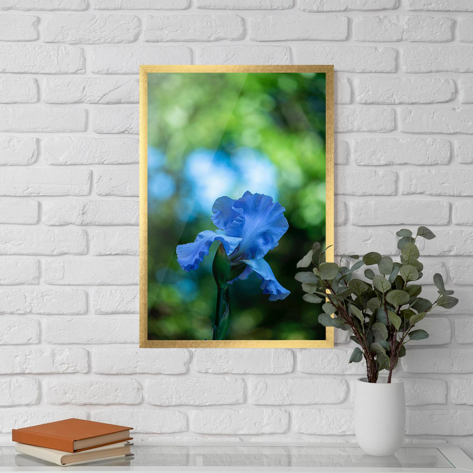 Gerahmte Poster Blue Iris In The Garden mockup 5