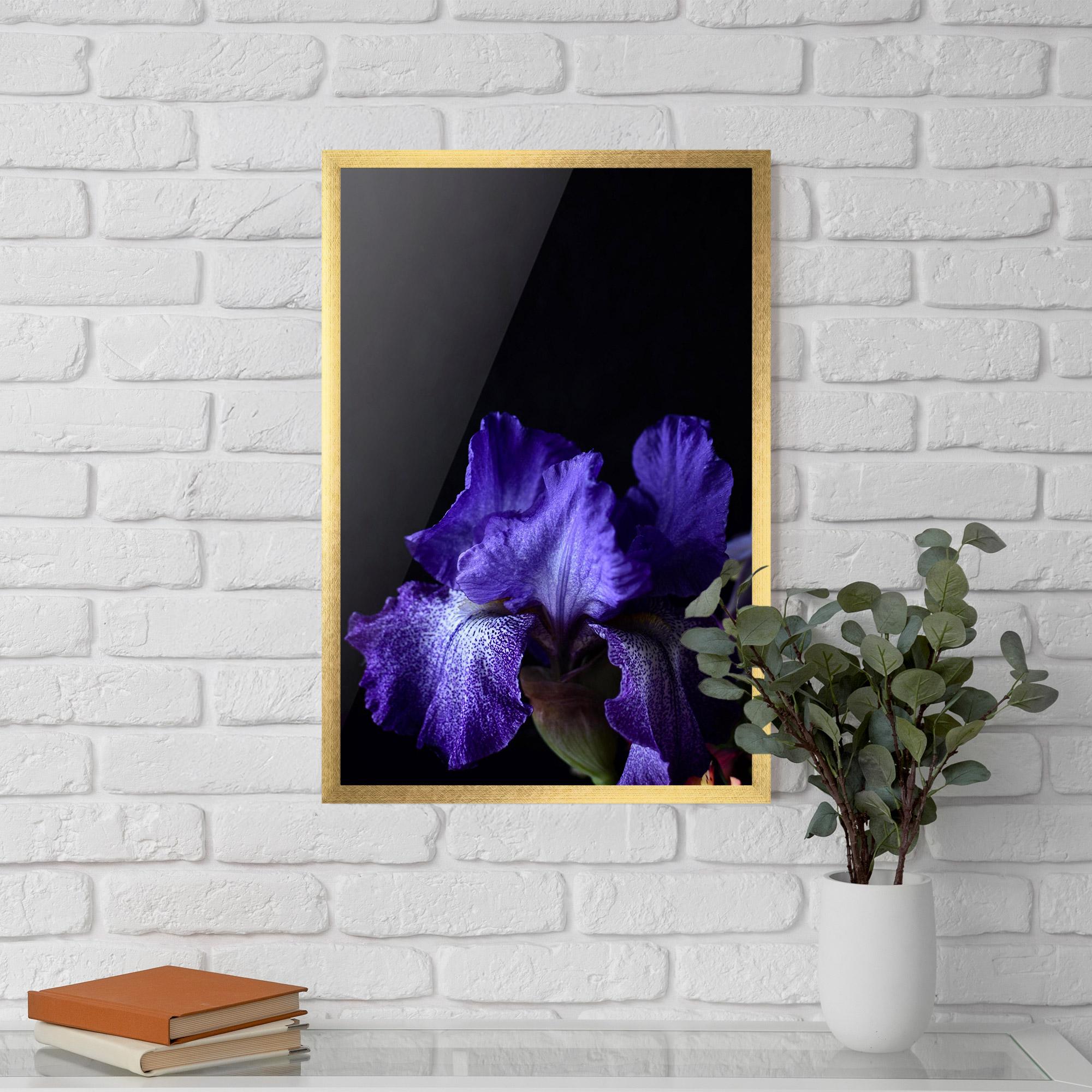 Gerahmte Poster Dark Purple Iris On Black mockup 5