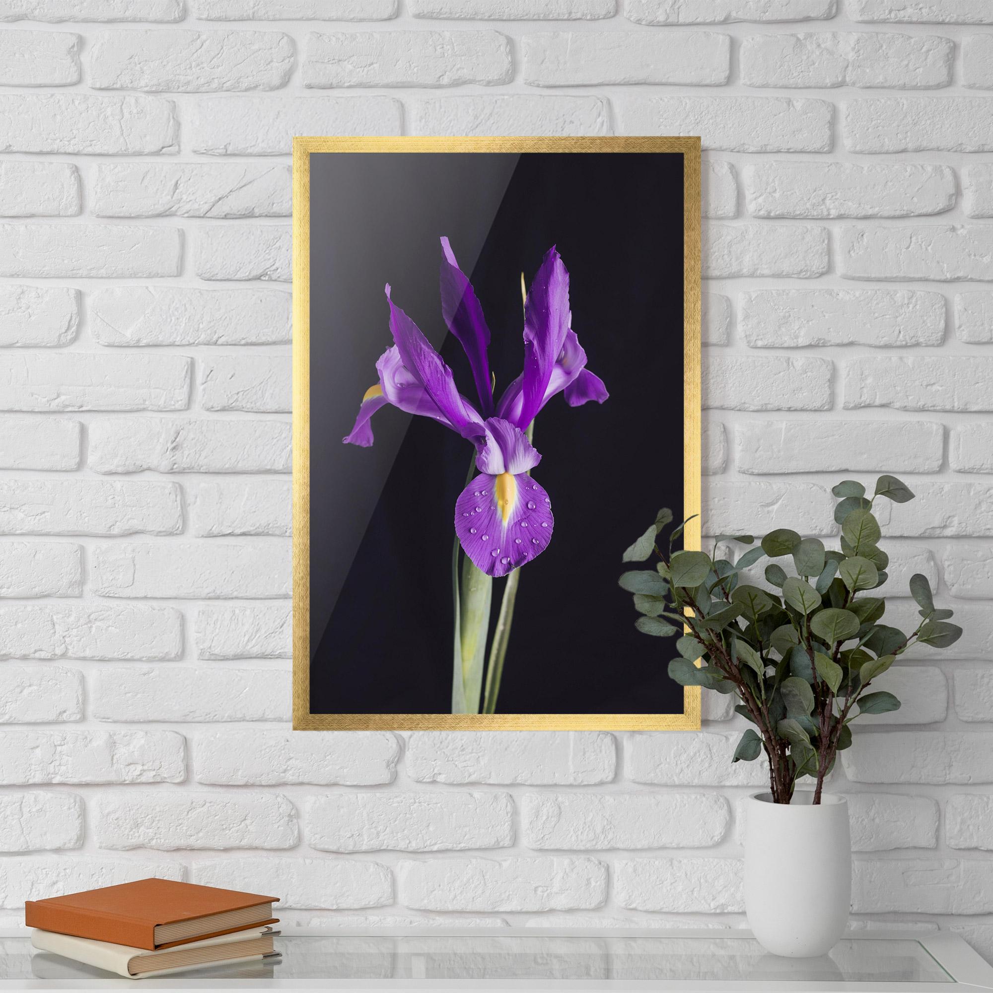 Gerahmte Poster Fresh Purple Iris mockup 5