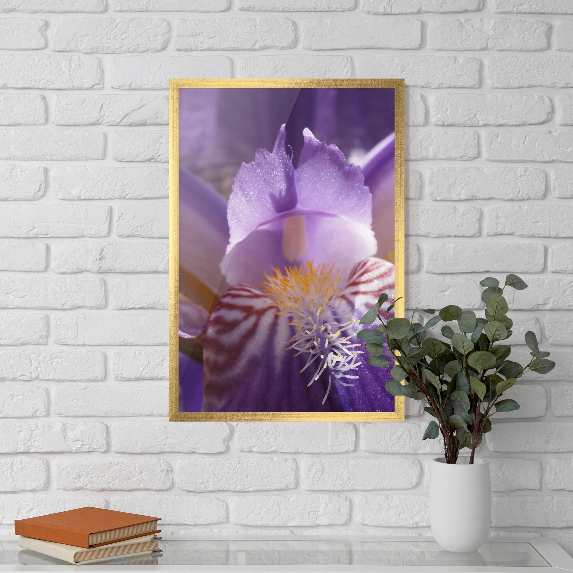 Gerahmte Poster Purple Iris Close Up mockup 5