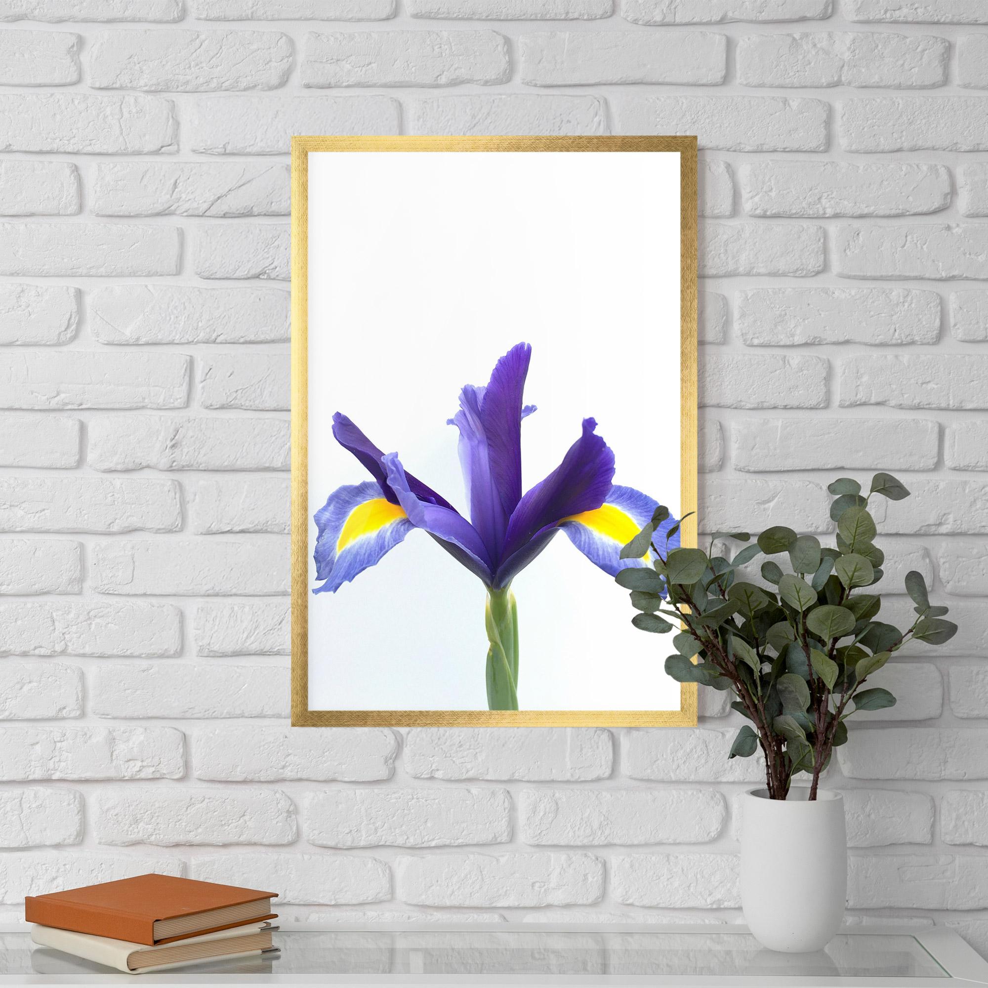Gerahmte Poster Yellow Color Iris mockup 5