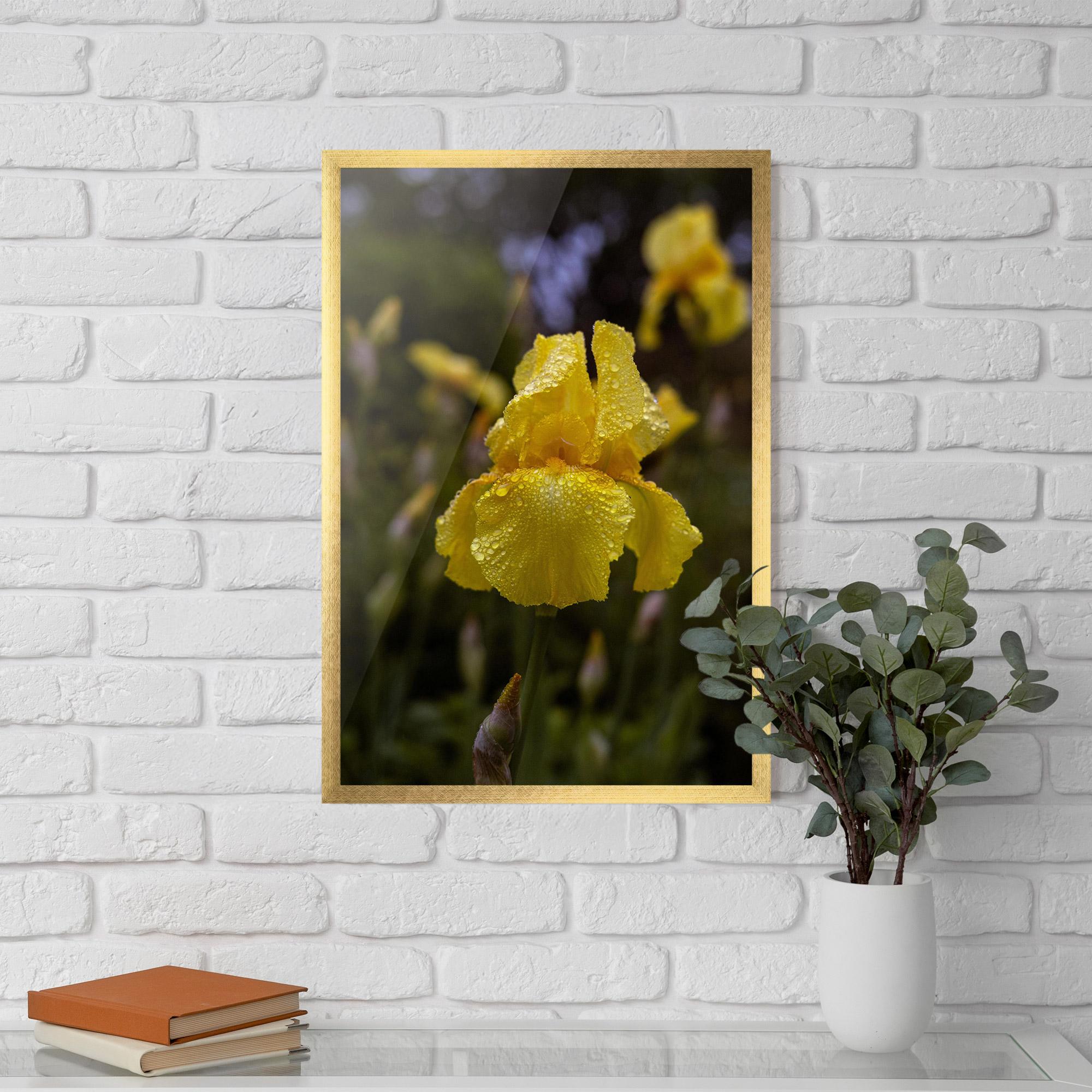 Gerahmte Poster Yellow Iris After Rain mockup 5
