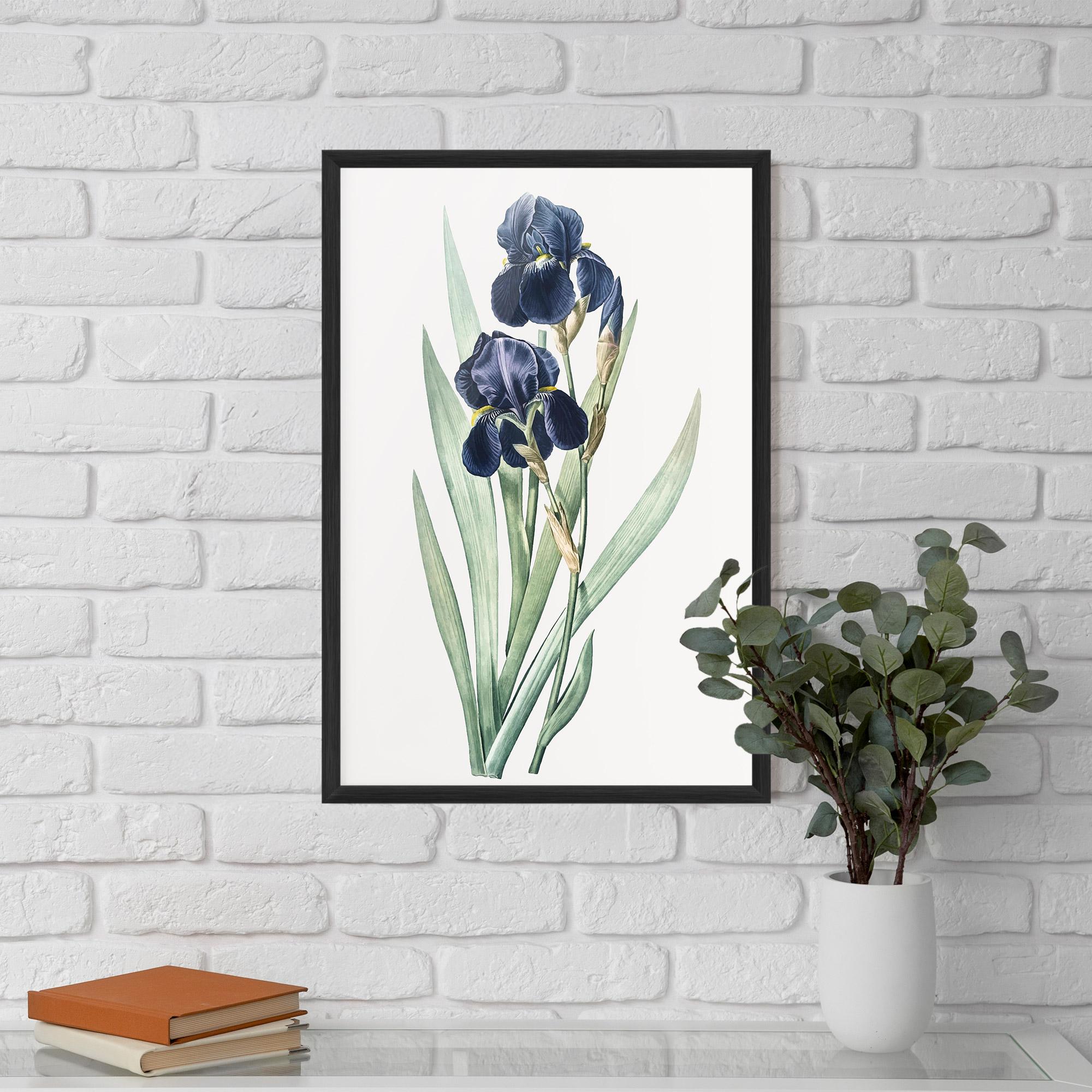 Gerahmte Poster Dark Blue Iris mockup 5