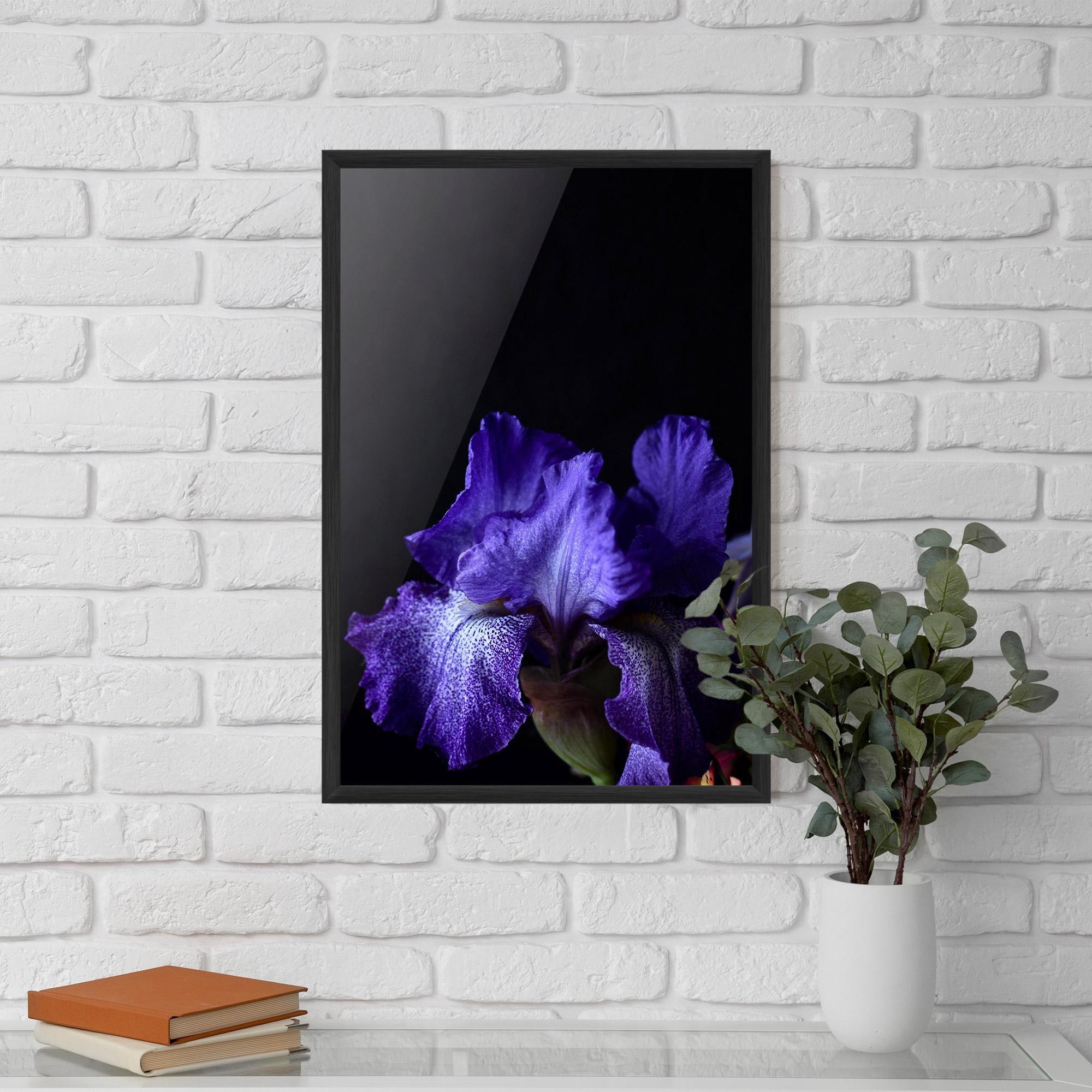 Gerahmte Poster Dark Purple Iris On Black mockup 5