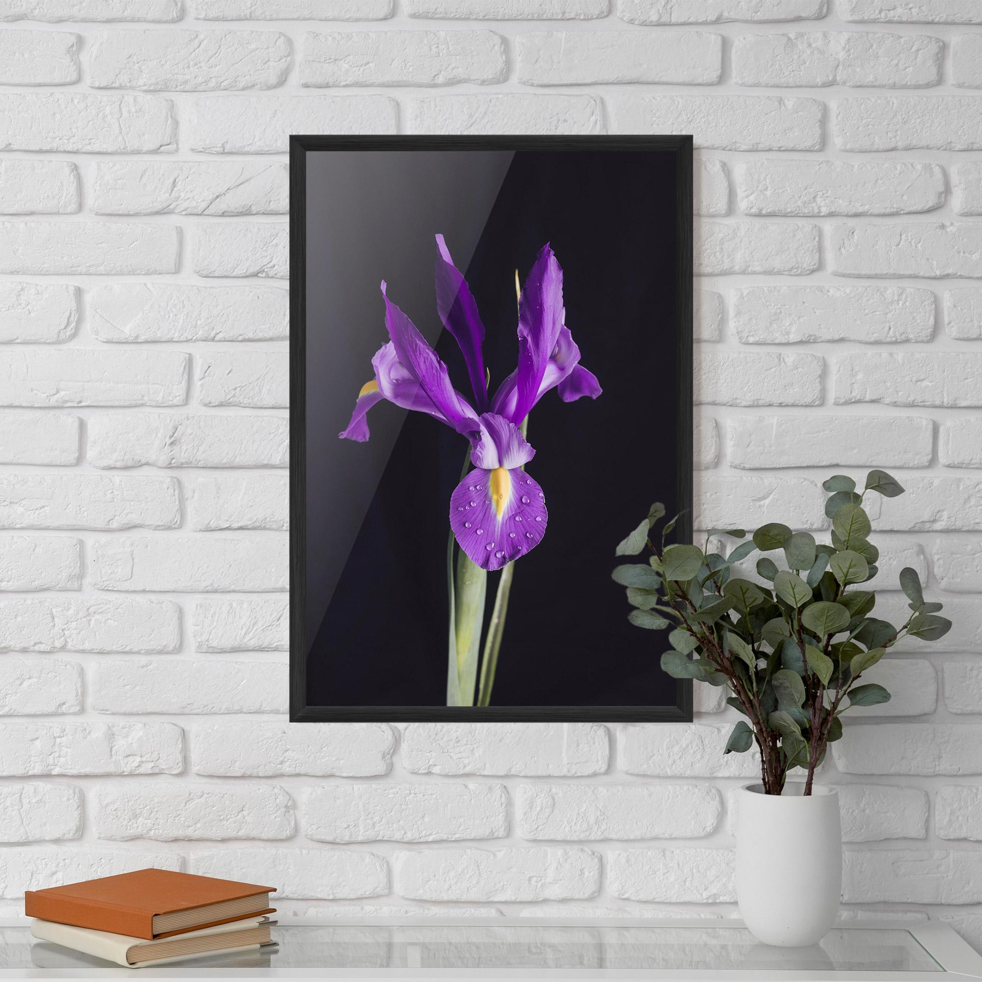 Gerahmte Poster Fresh Purple Iris mockup 5