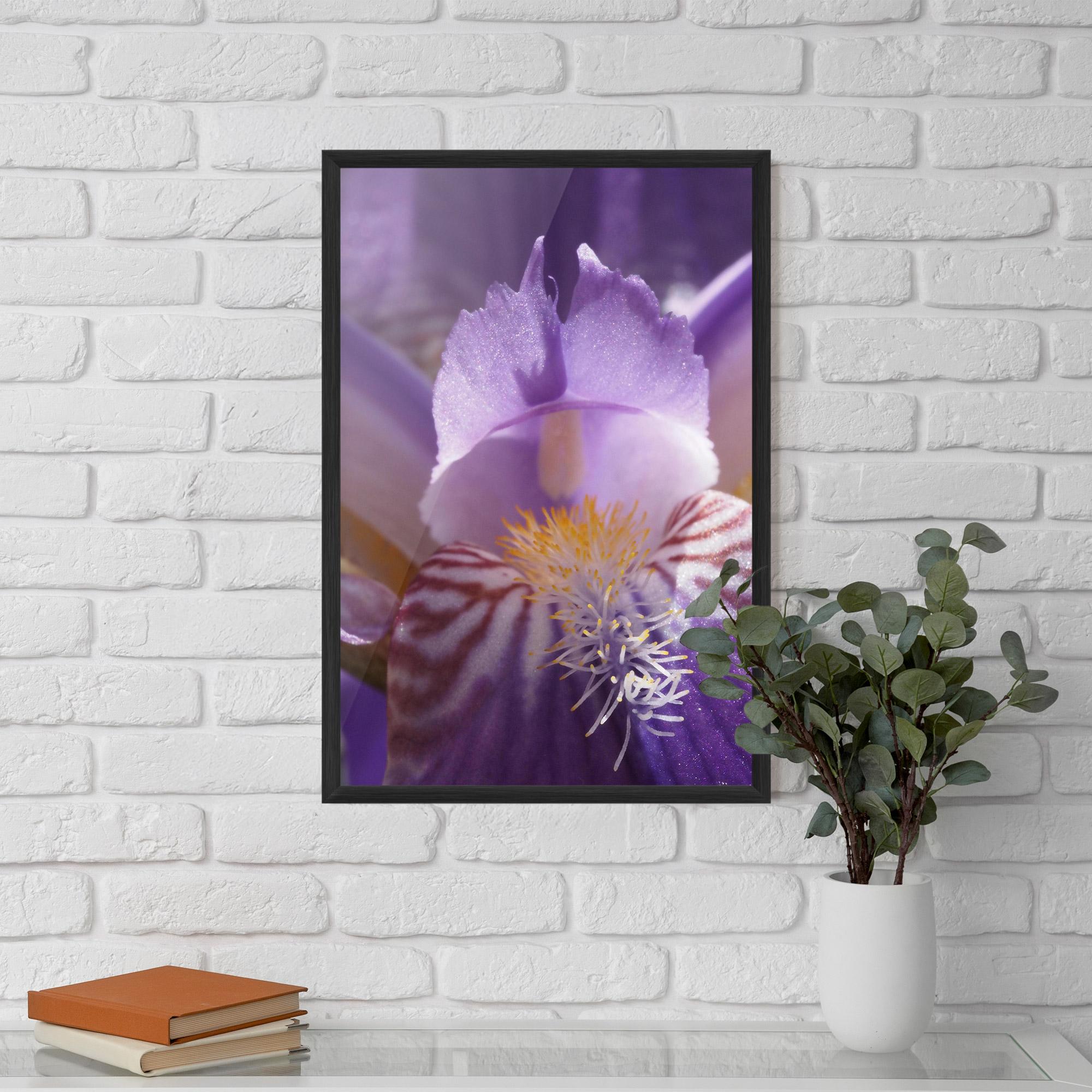 Gerahmte Poster Purple Iris Close Up mockup 5