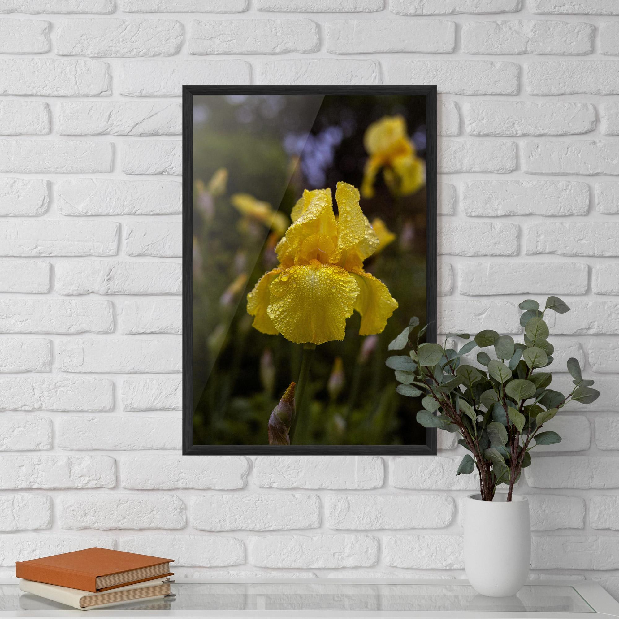 Gerahmte Poster Yellow Iris After Rain mockup 5