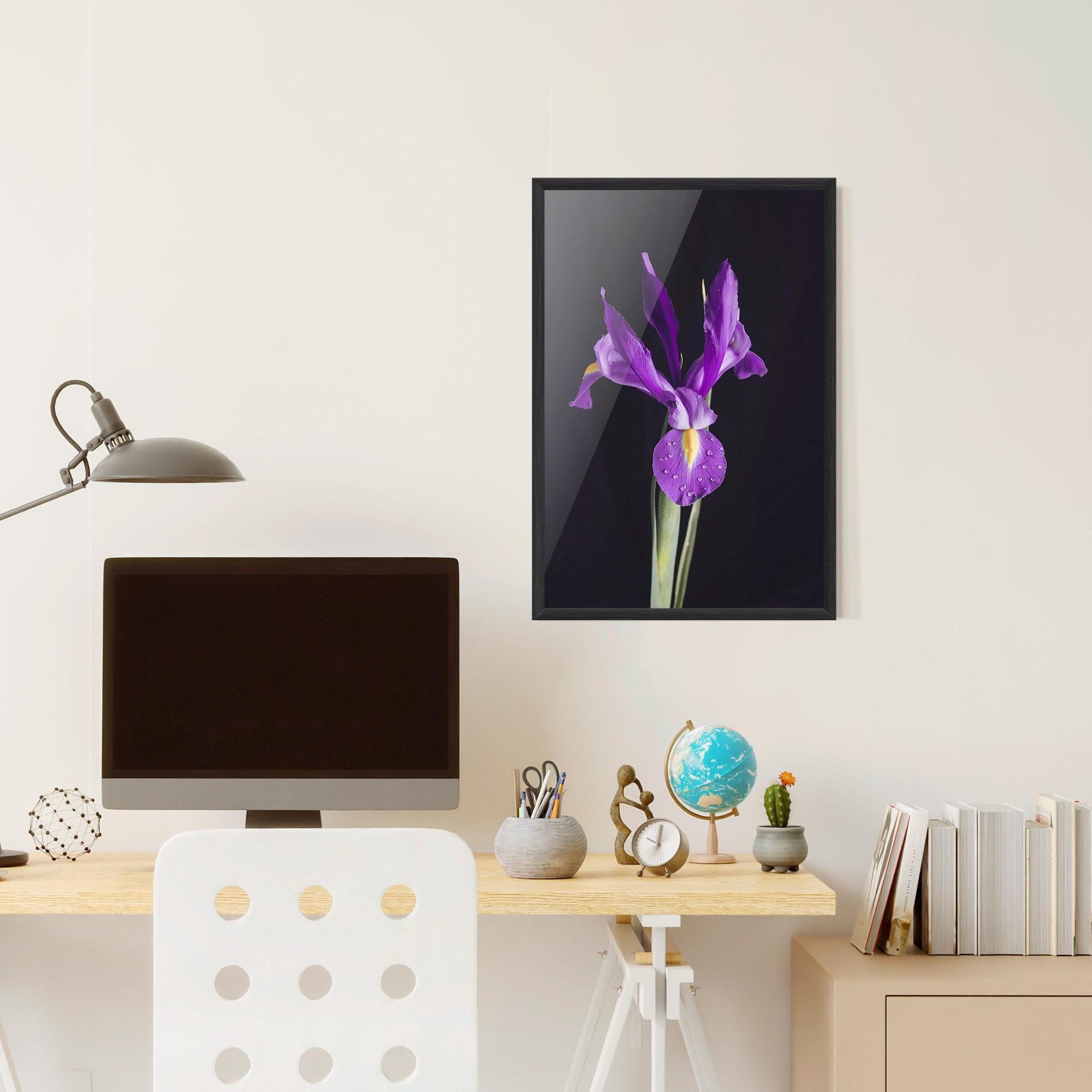Gerahmte Poster Fresh Purple Iris mockup 6