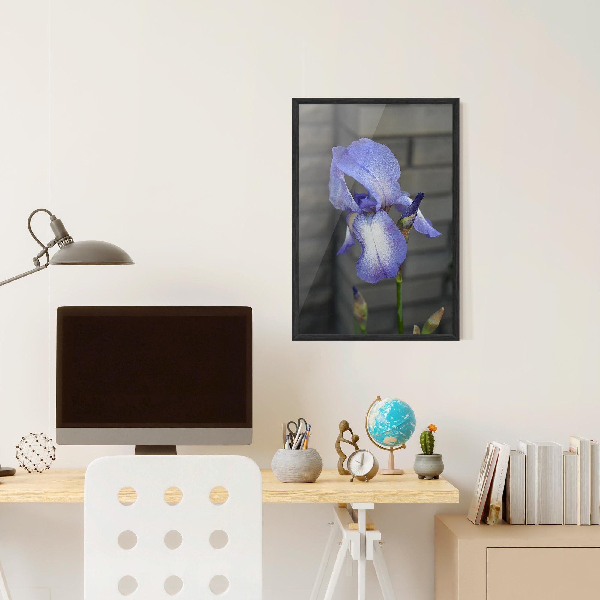 Gerahmte Poster Purple Iris On Gray mockup 6