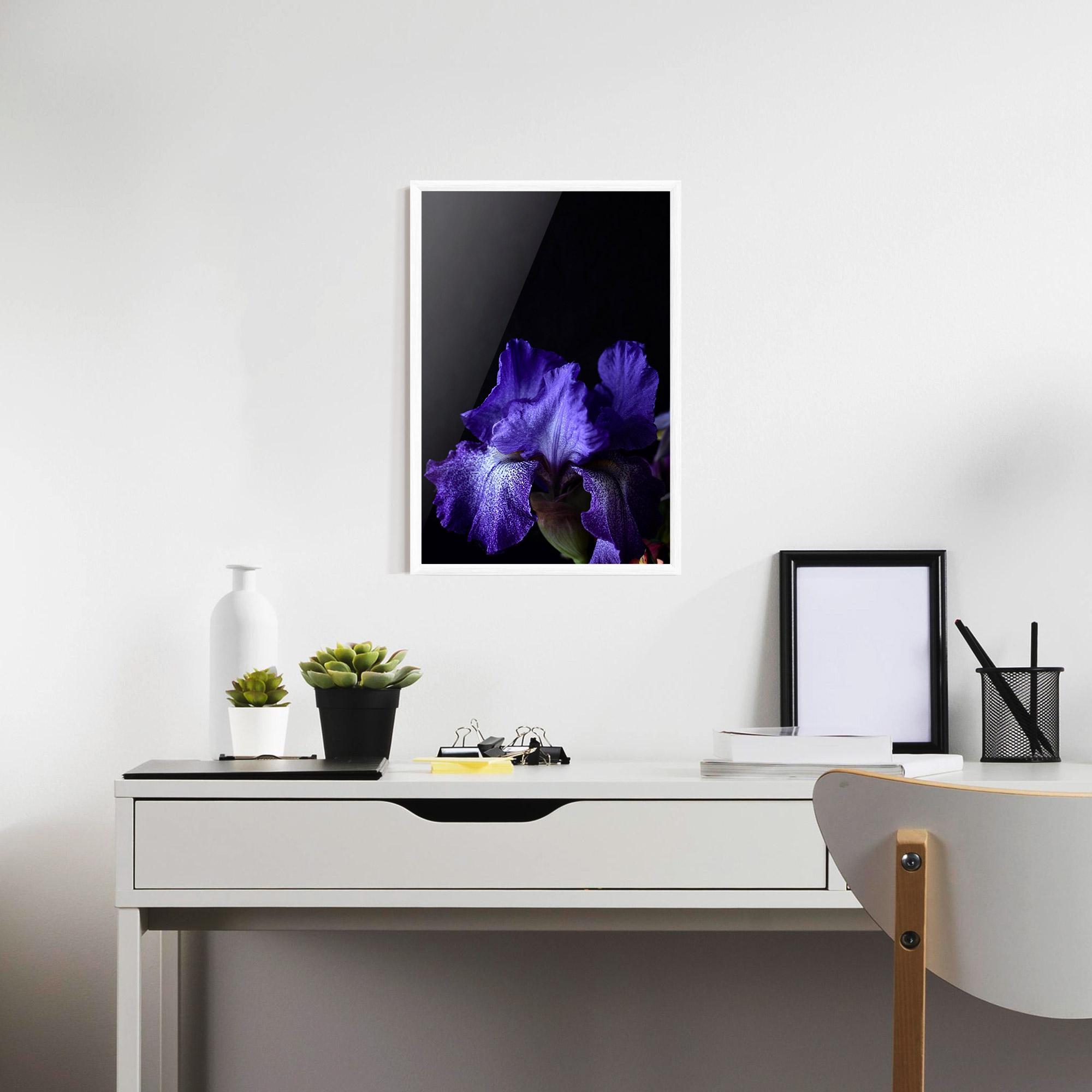 Gerahmte Poster Dark Purple Iris On Black mockup 7
