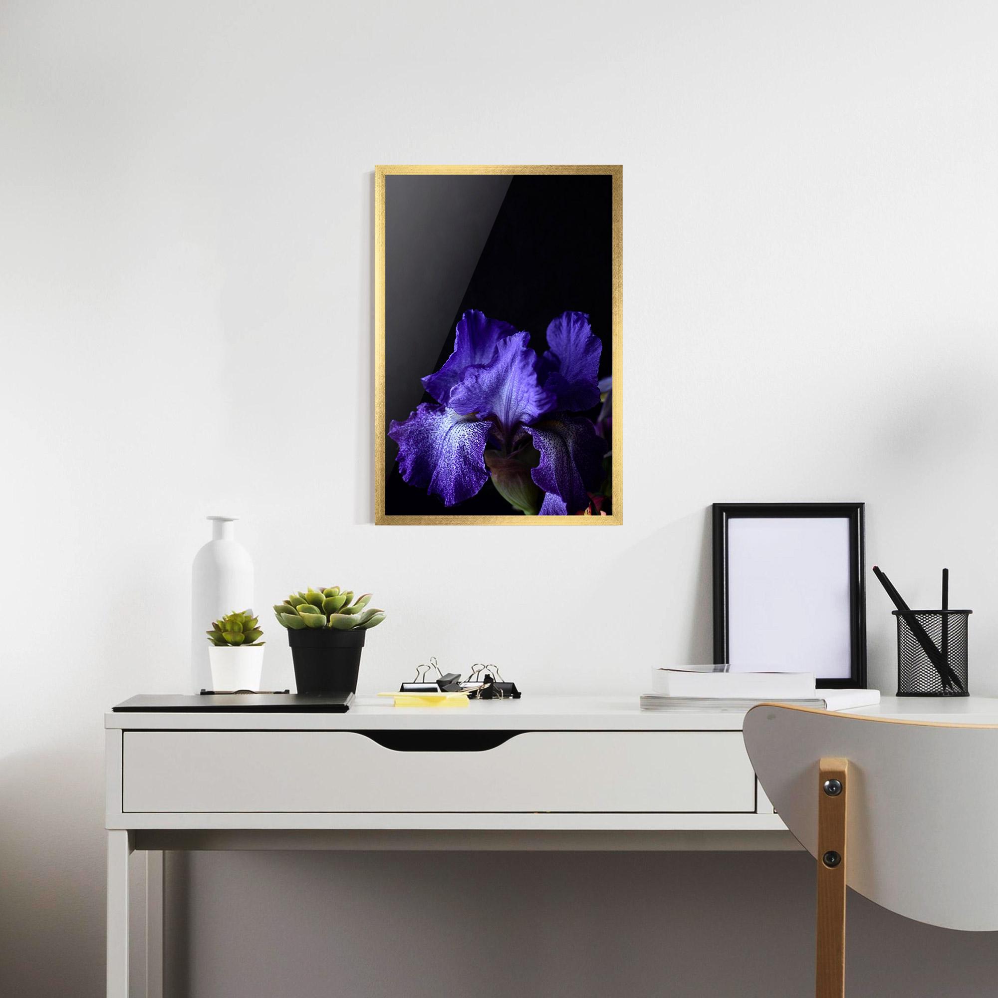 Gerahmte Poster Dark Purple Iris On Black mockup 7