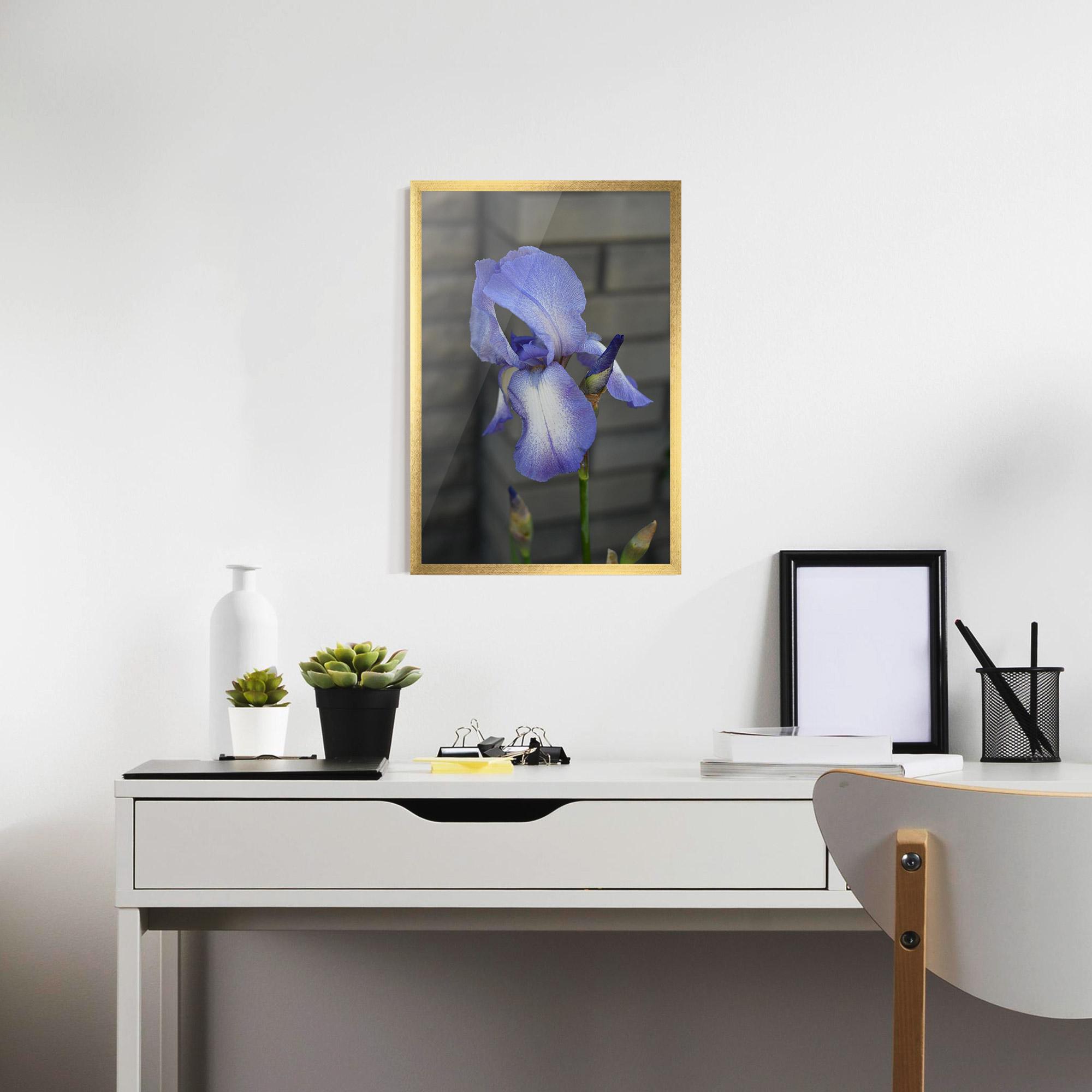 Gerahmte Poster Purple Iris On Gray mockup 7