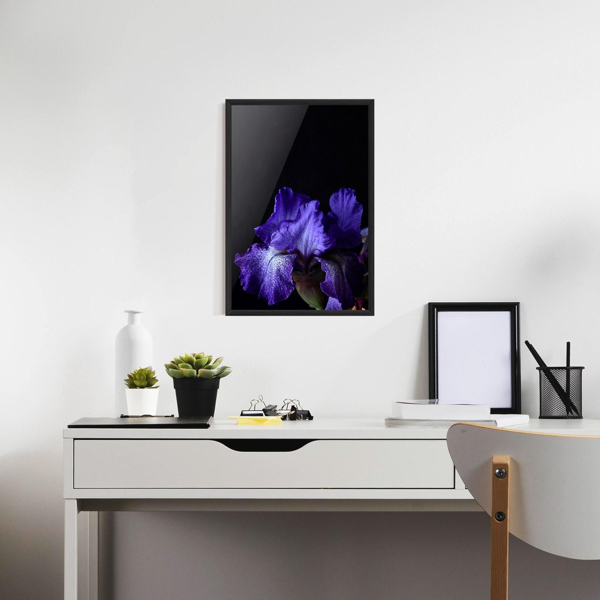 Gerahmte Poster Dark Purple Iris On Black mockup 7