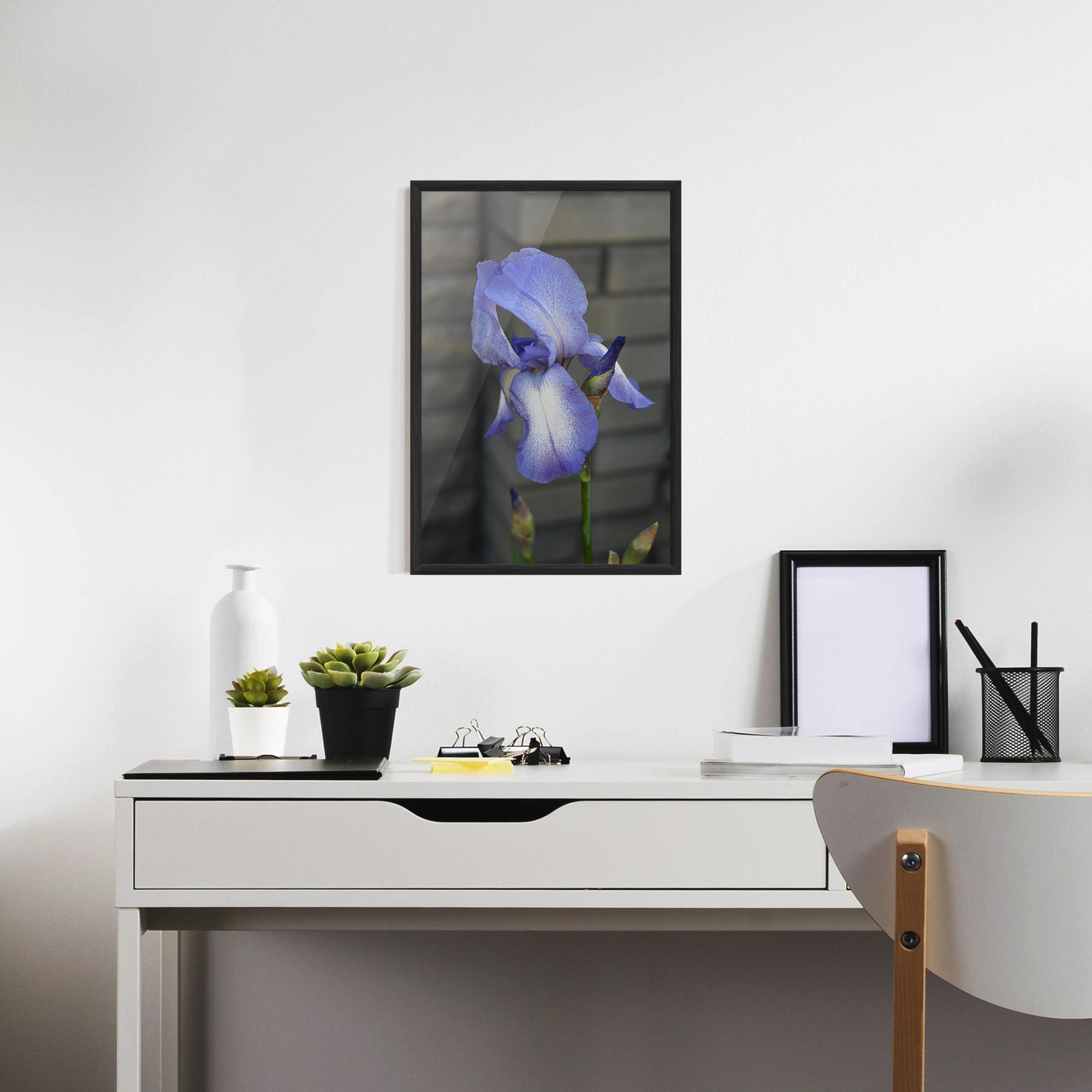 Gerahmte Poster Purple Iris On Gray mockup 7