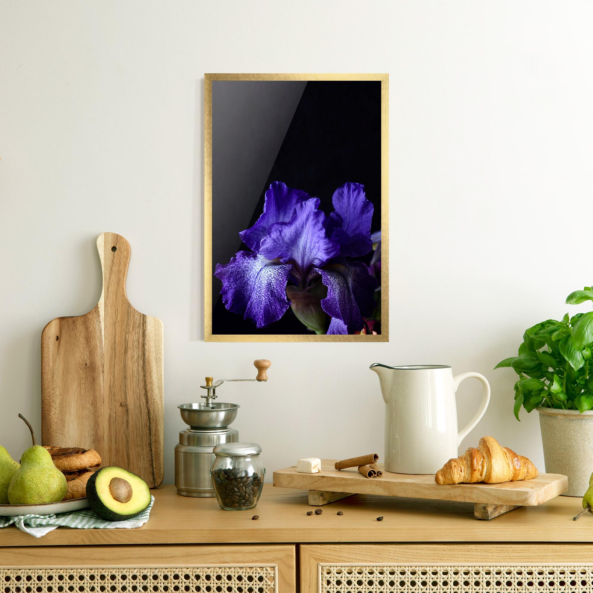 Gerahmte Poster Dark Purple Iris On Black mockup 8