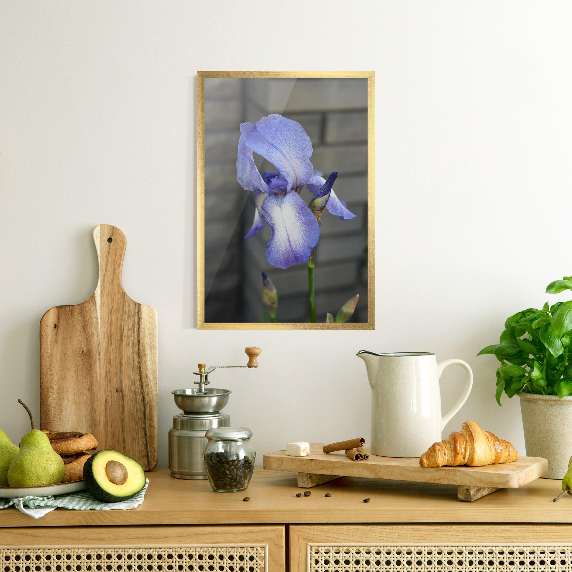 Gerahmte Poster Purple Iris On Gray mockup 8