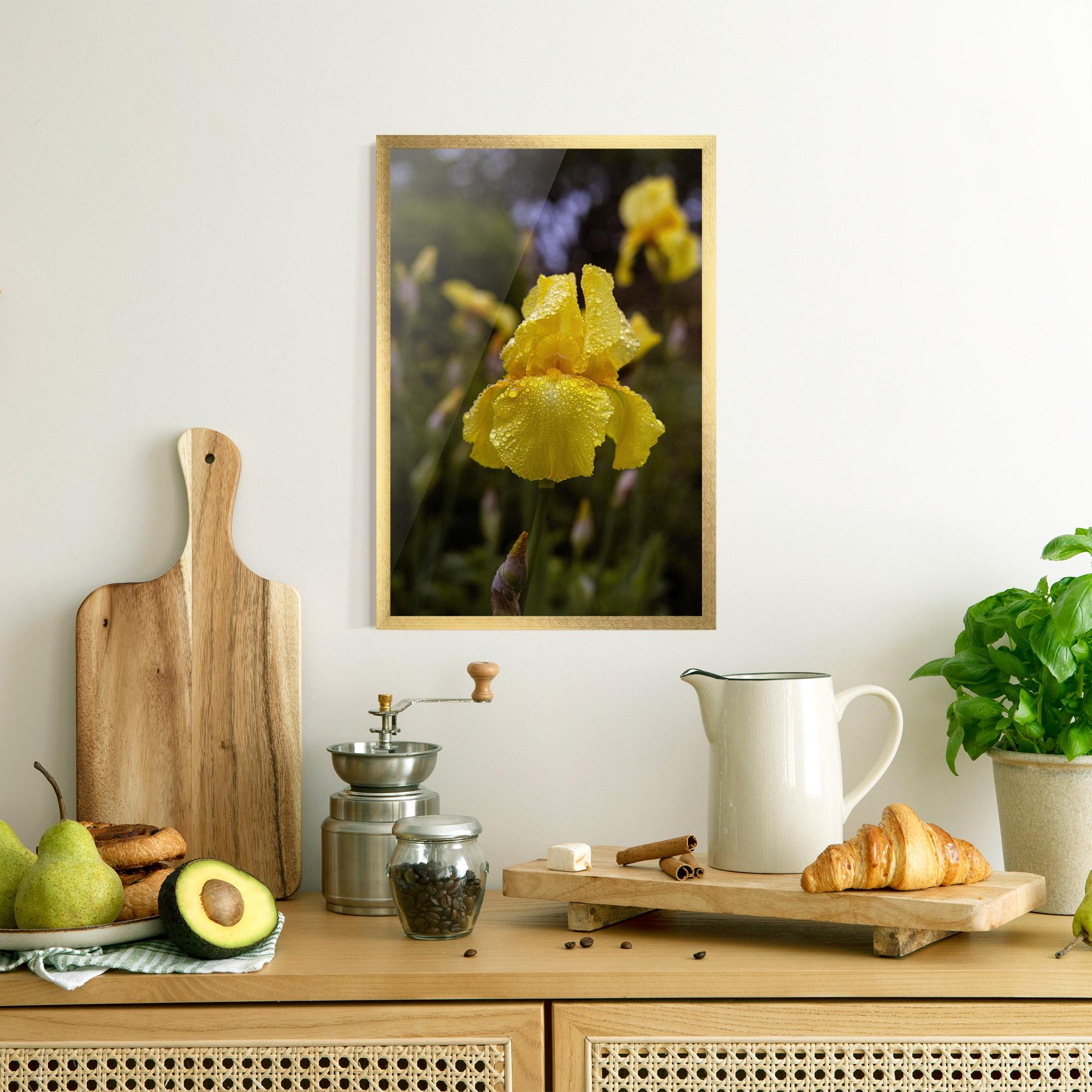 Gerahmte Poster Yellow Iris After Rain mockup 8