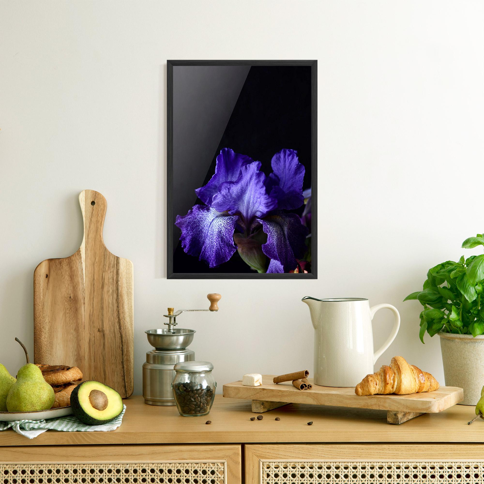 Gerahmte Poster Dark Purple Iris On Black mockup 8