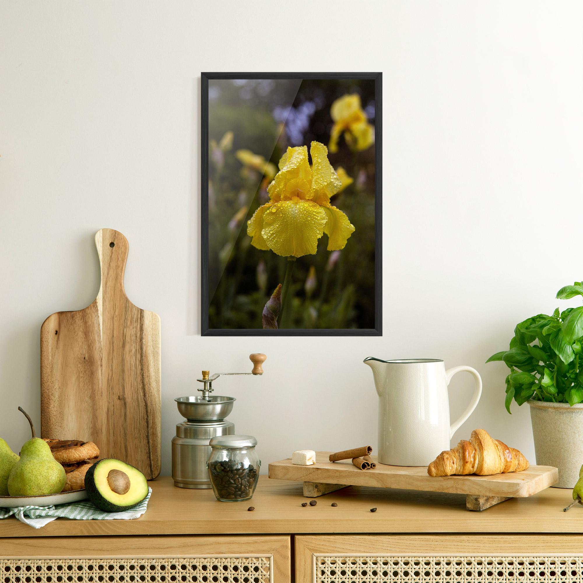 Gerahmte Poster Yellow Iris After Rain mockup 8