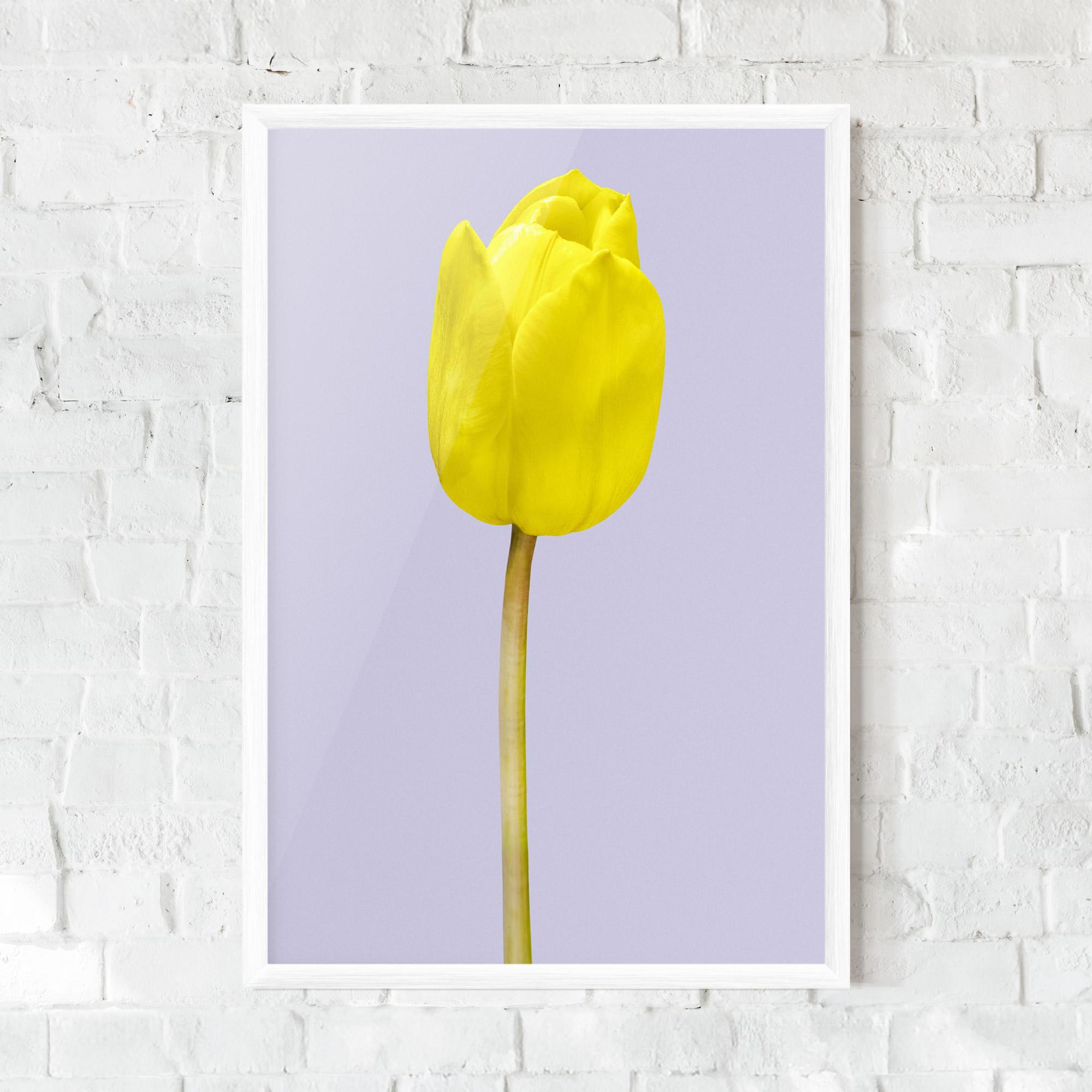 Gerahmte Poster One Yellow Tulip mockup 0