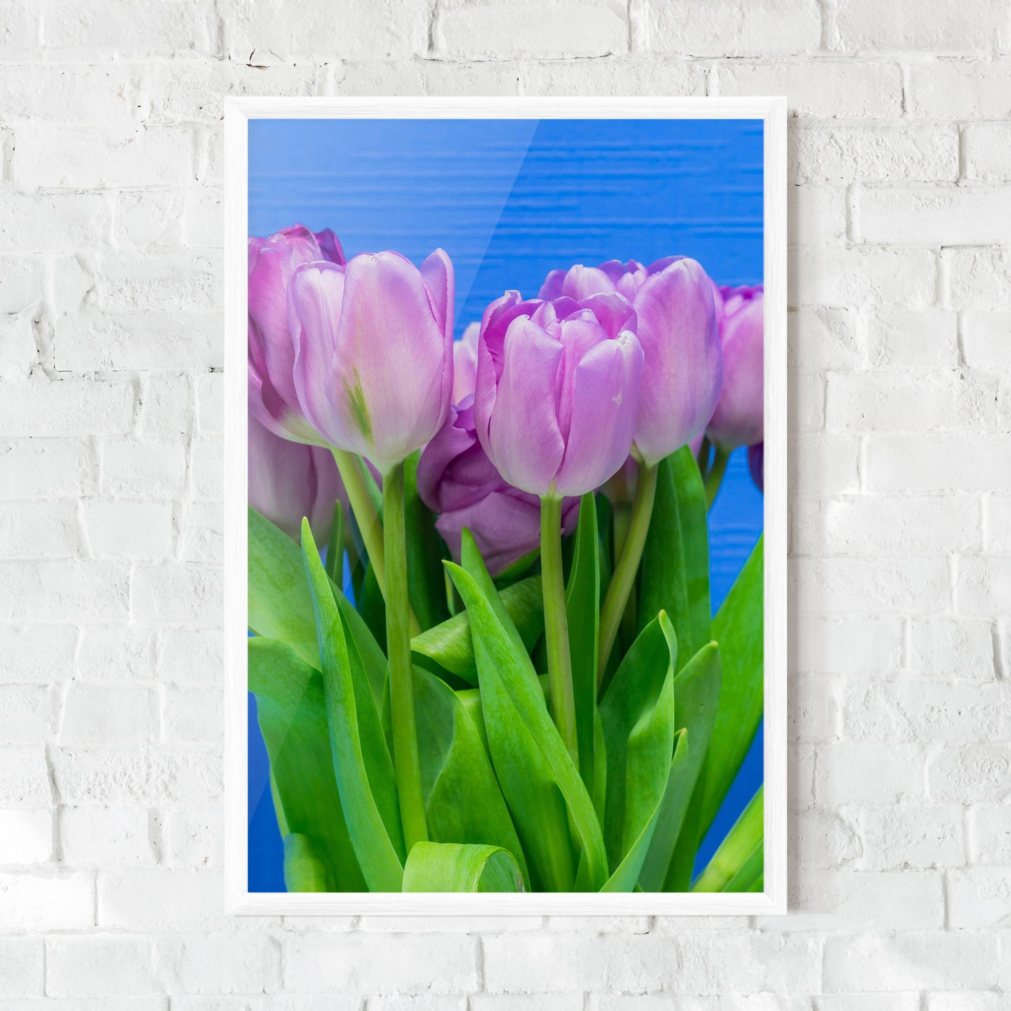 Gerahmte Poster Purple Tulips On Blue mockup 0