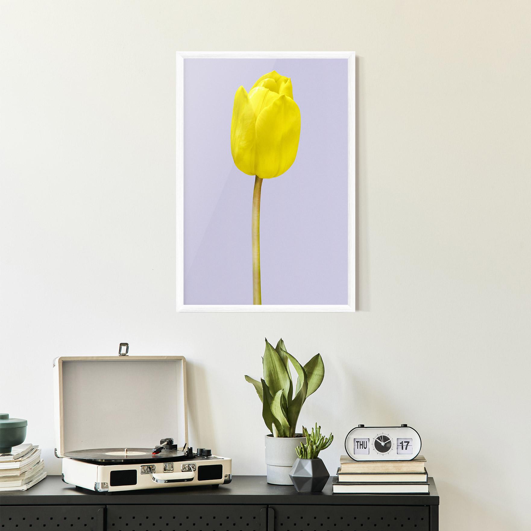Gerahmte Poster One Yellow Tulip mockup 2