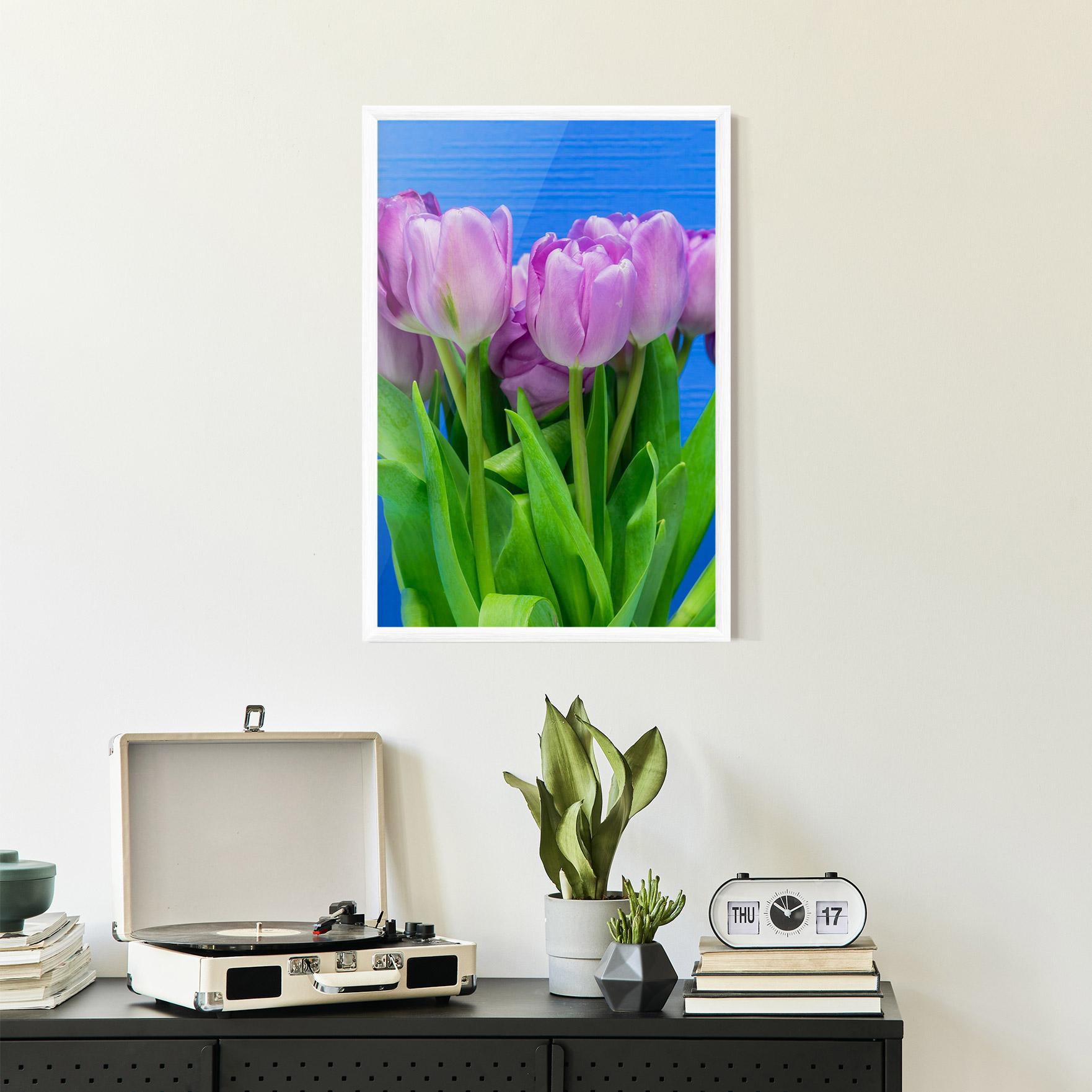 Gerahmte Poster Purple Tulips On Blue mockup 2