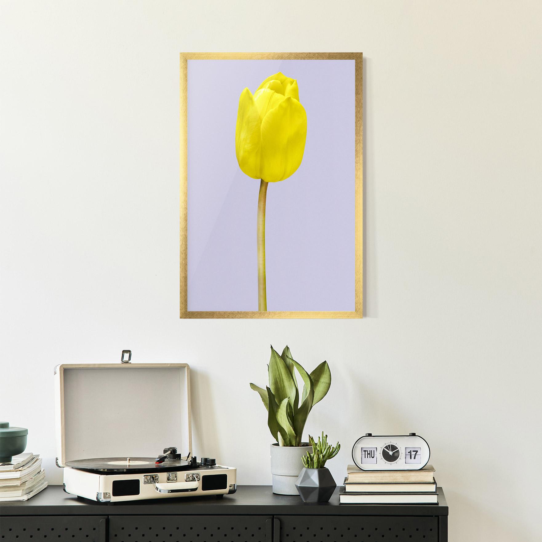 Gerahmte Poster One Yellow Tulip mockup 2