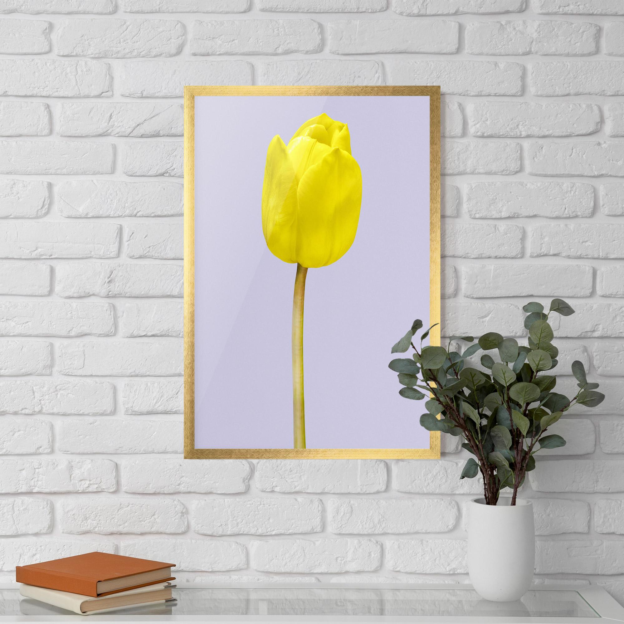 Gerahmte Poster One Yellow Tulip mockup 5