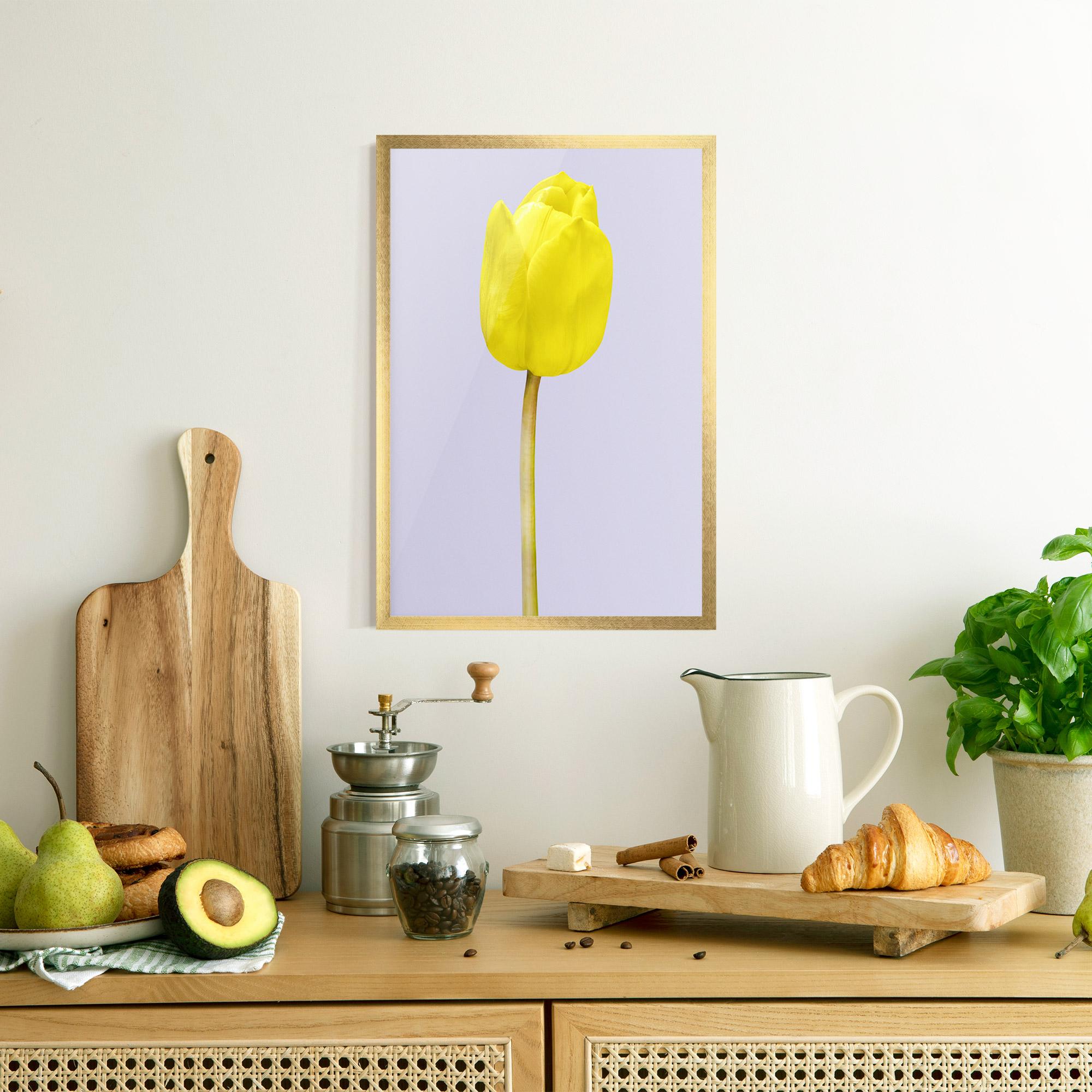 Gerahmte Poster One Yellow Tulip mockup 8