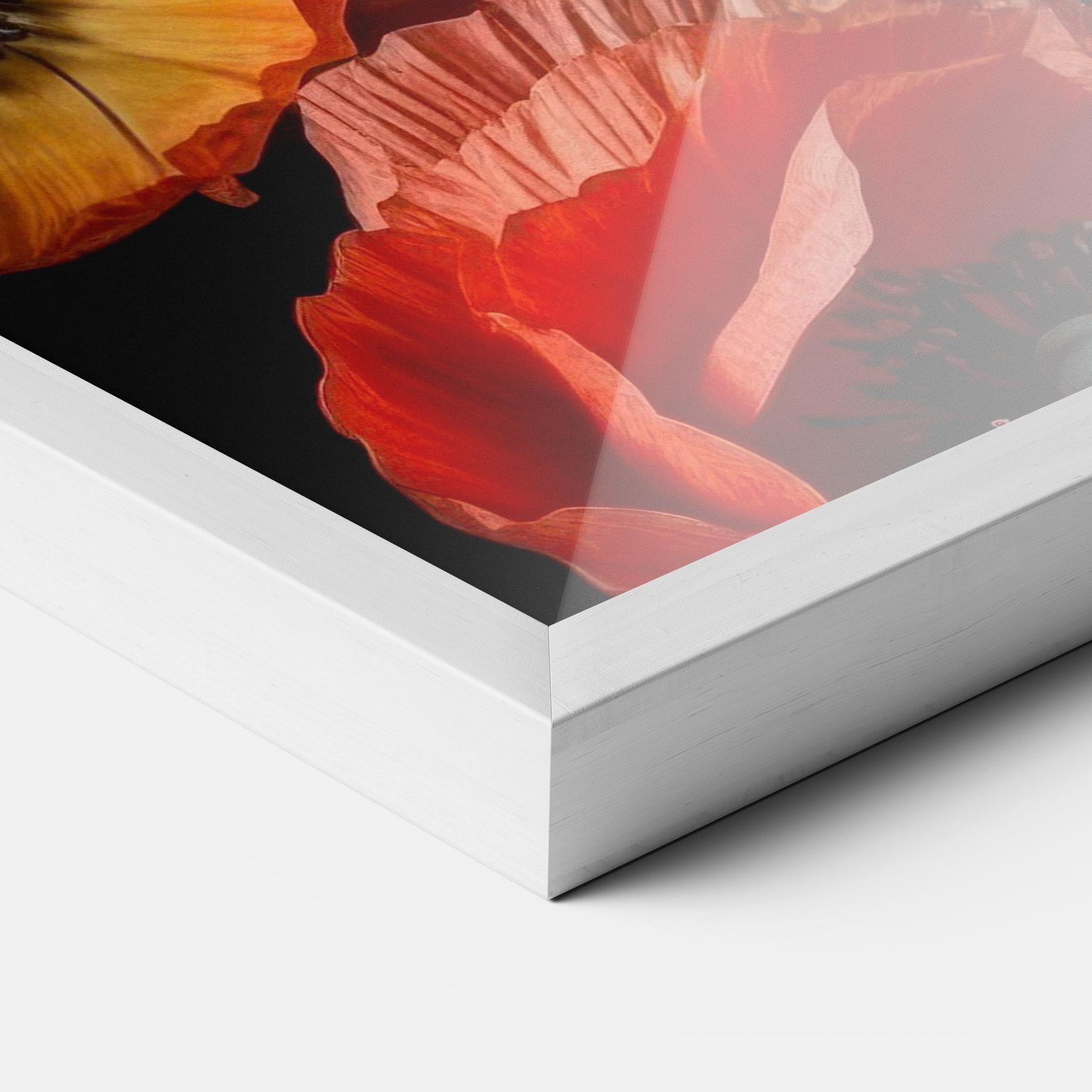 Gerahmte Poster Red Orange Poppy mockup 3