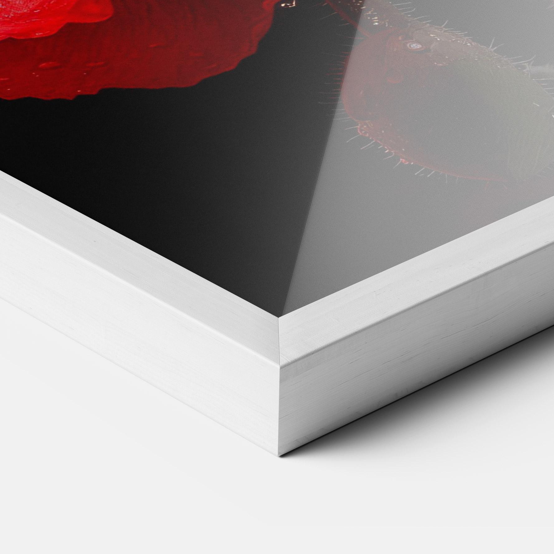 Gerahmte Poster Red Poppy mockup 3