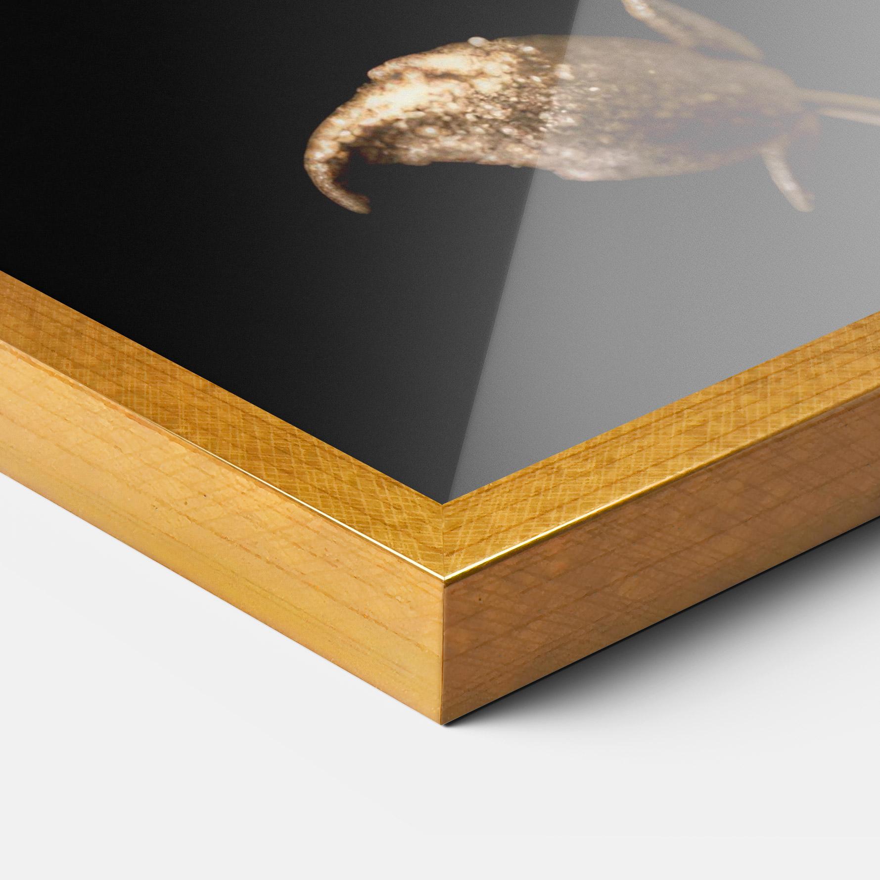 Gerahmte Poster Dark Red Poppy mockup 3